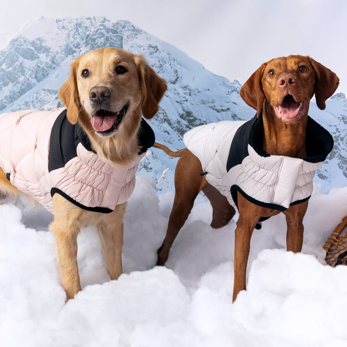 Diamond Puffer premium pet product