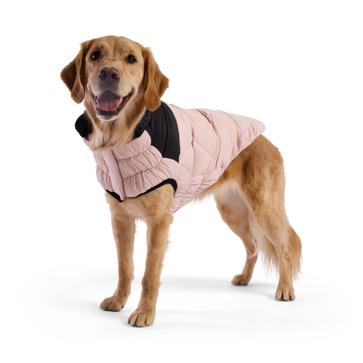Diamond Puffer premium pet product