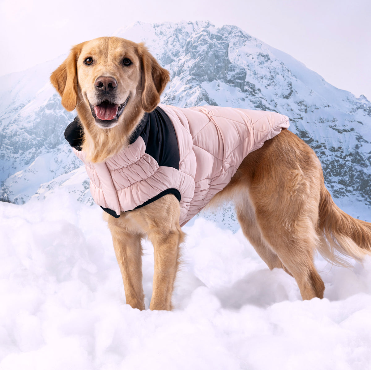Diamond Puffer premium pet product