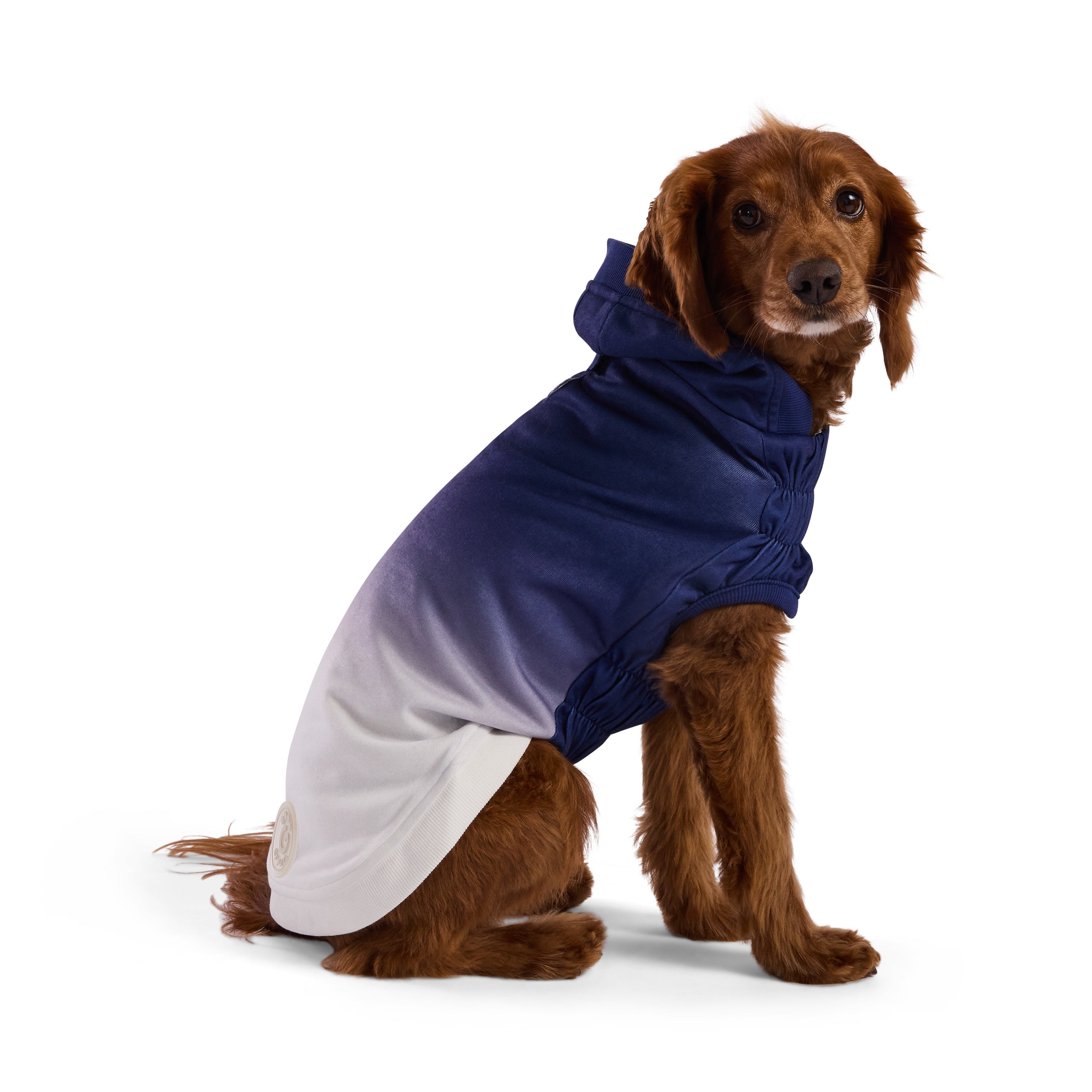 Good Vibes Hoodie premium pet product