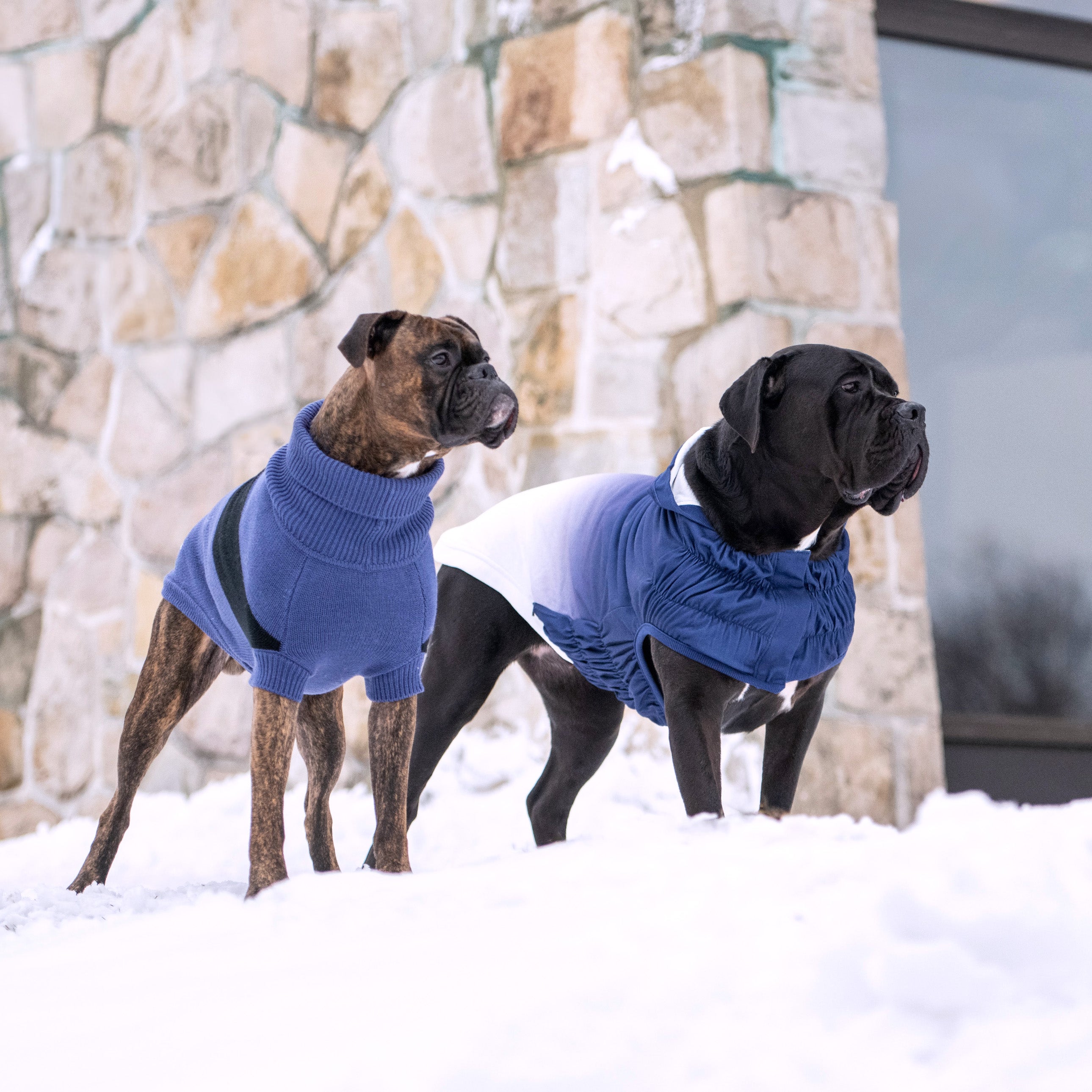 Good Vibes Hoodie premium pet product