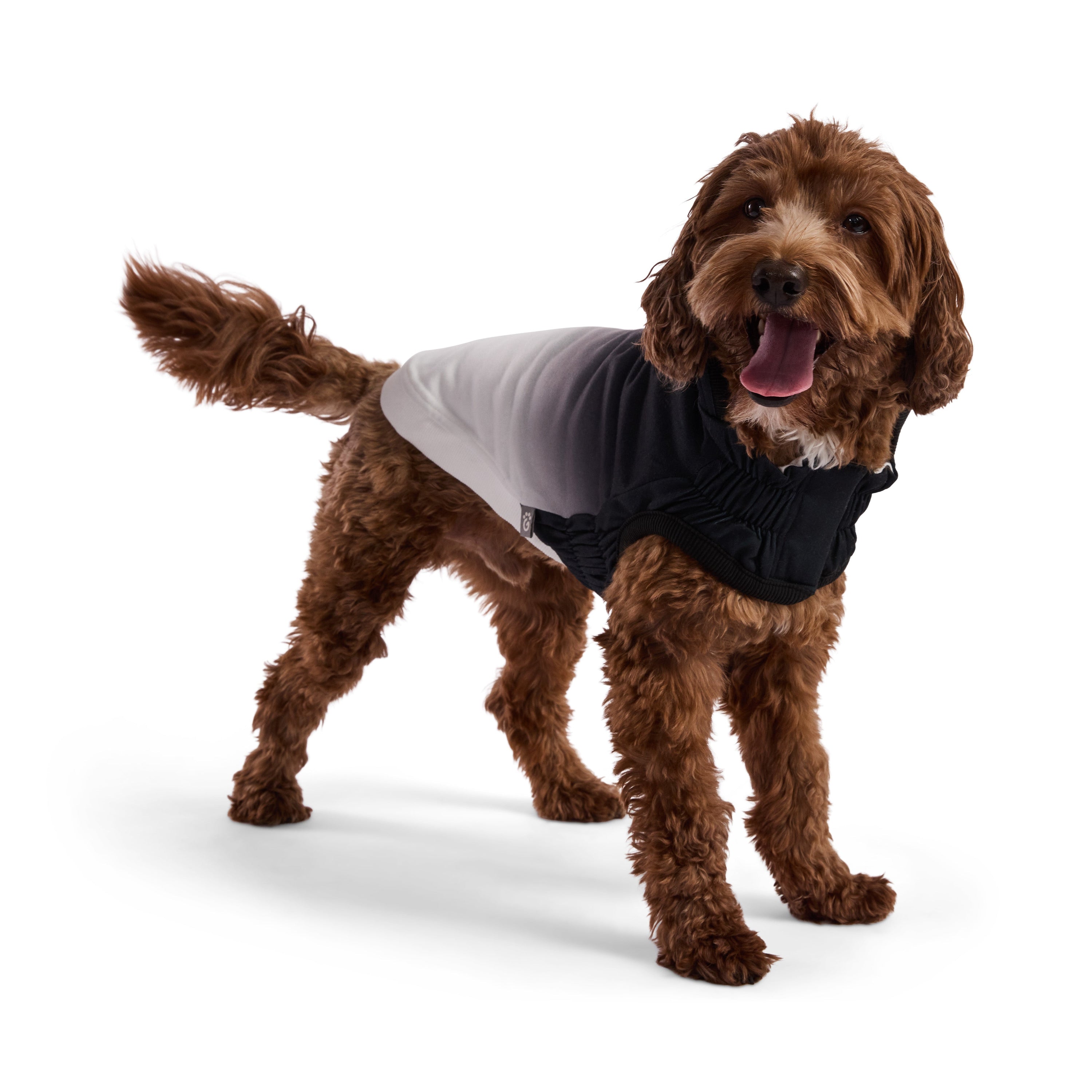 Good Vibes Hoodie premium pet product