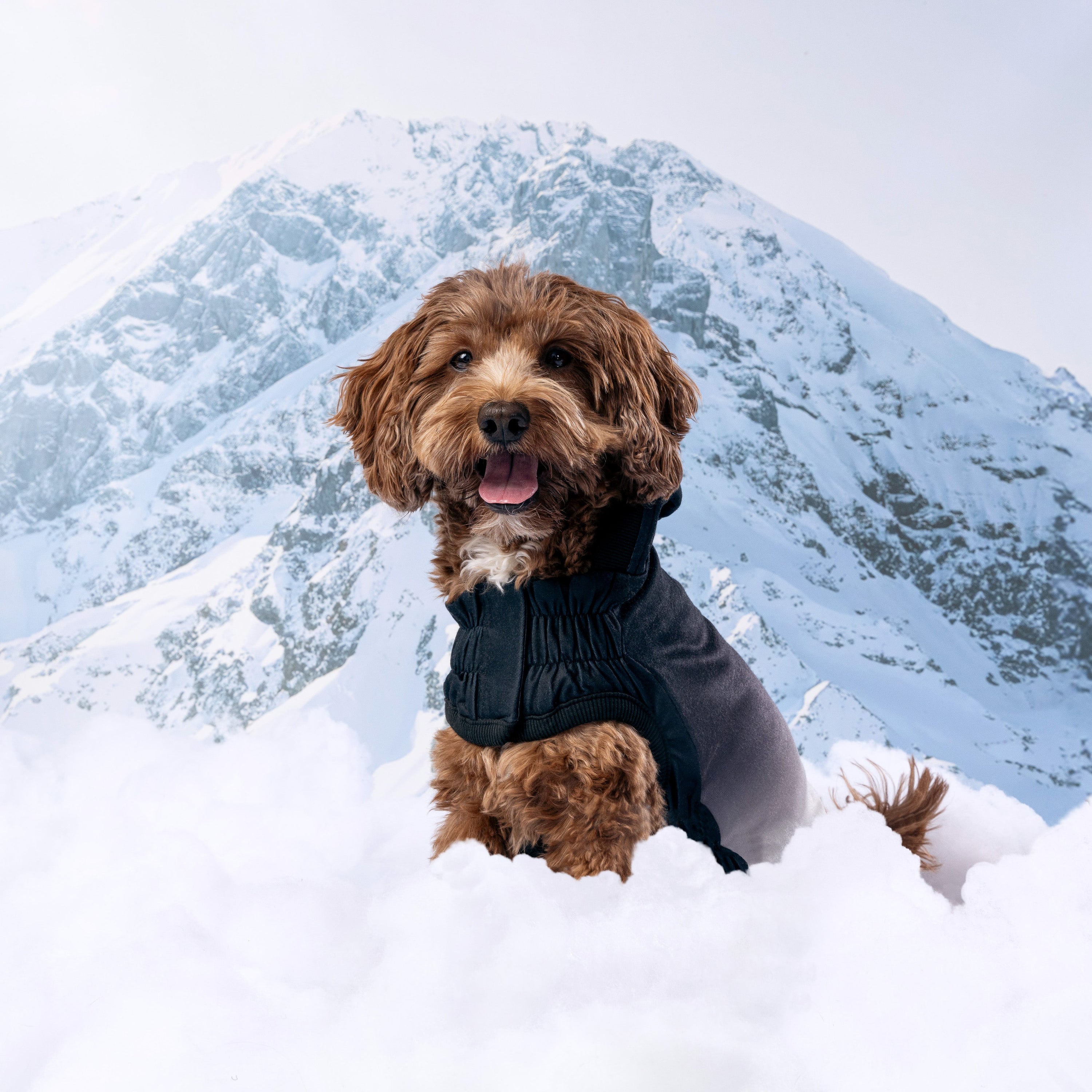 Good Vibes Hoodie premium pet product