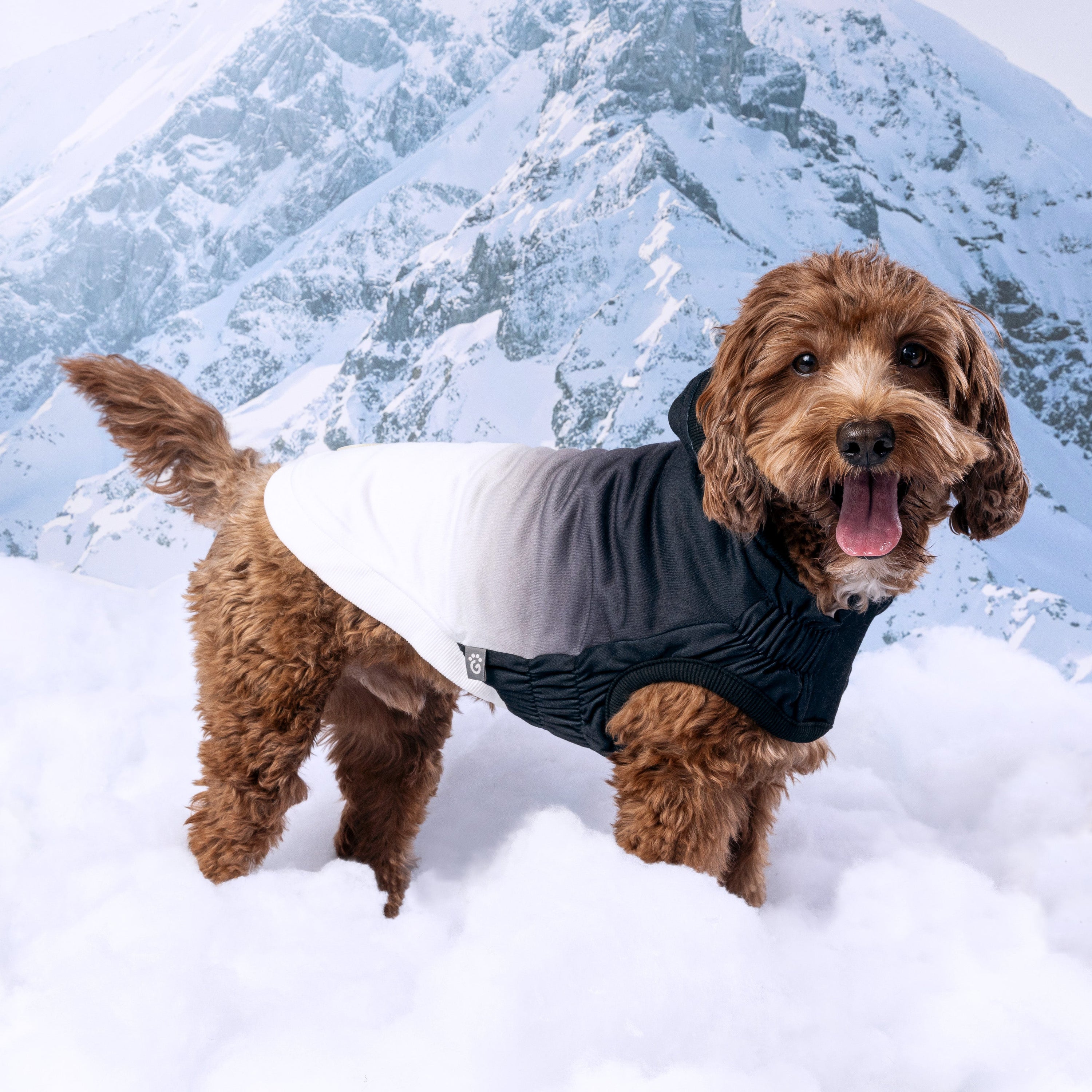 Good Vibes Hoodie premium pet product