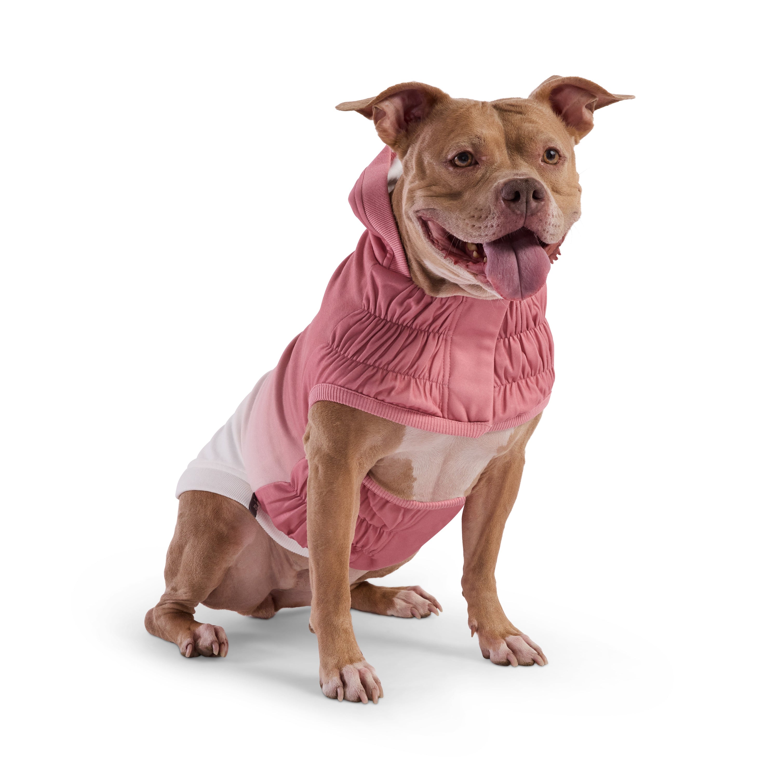 Good Vibes Hoodie premium pet product