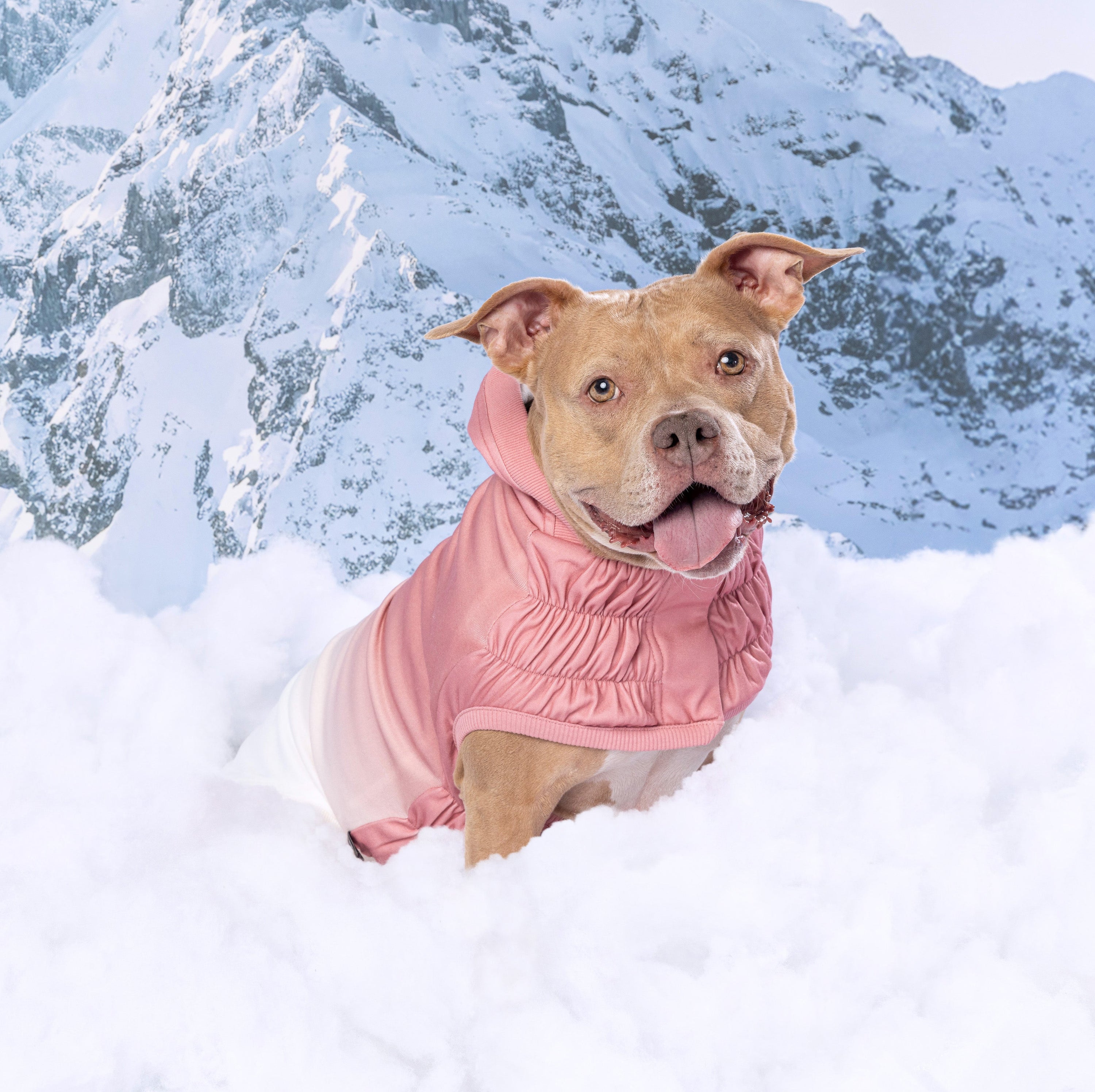 Good Vibes Hoodie premium pet product