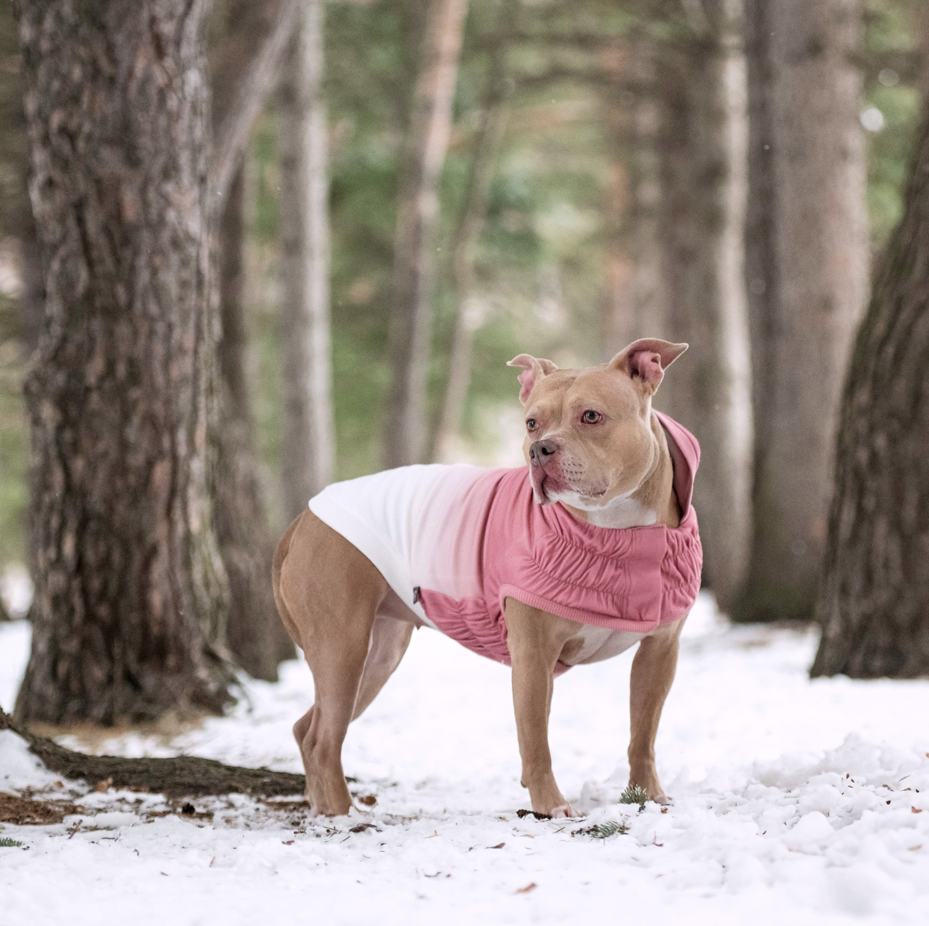 Good Vibes Hoodie premium pet product