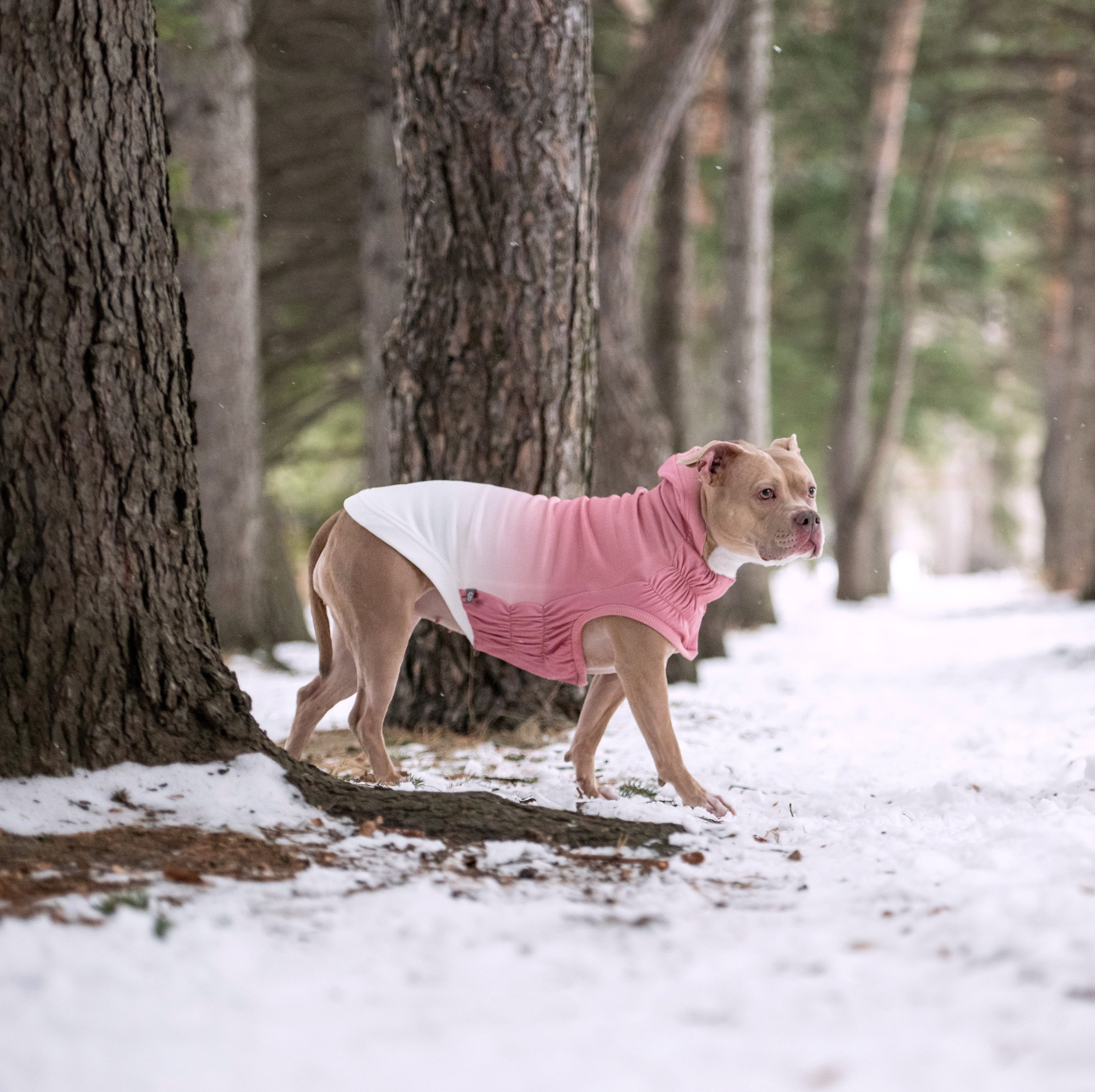 Good Vibes Hoodie premium pet product