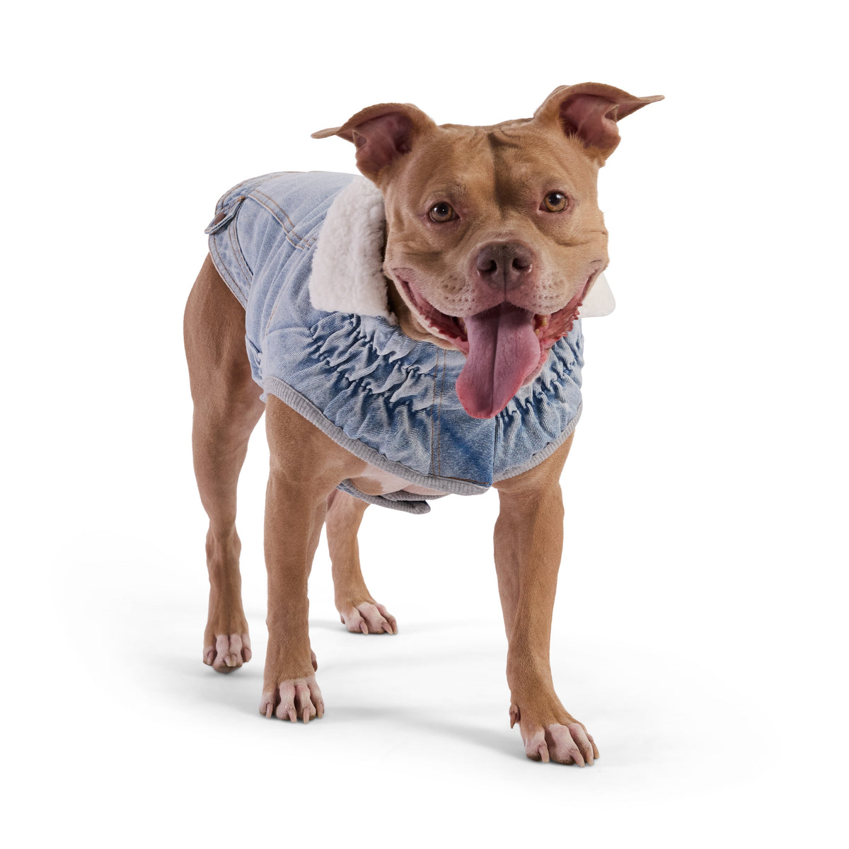 Northside Denim Jacket - Light Wash premium pet product