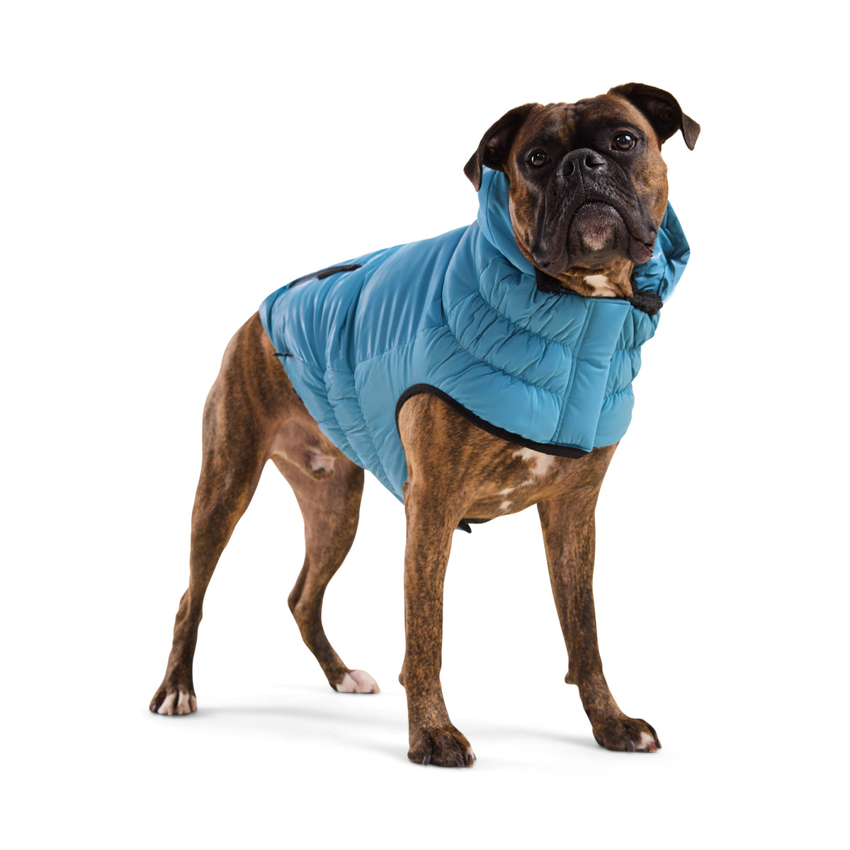GF Pet Storm Glide Elasto Fit Dog Parka in Frozentide