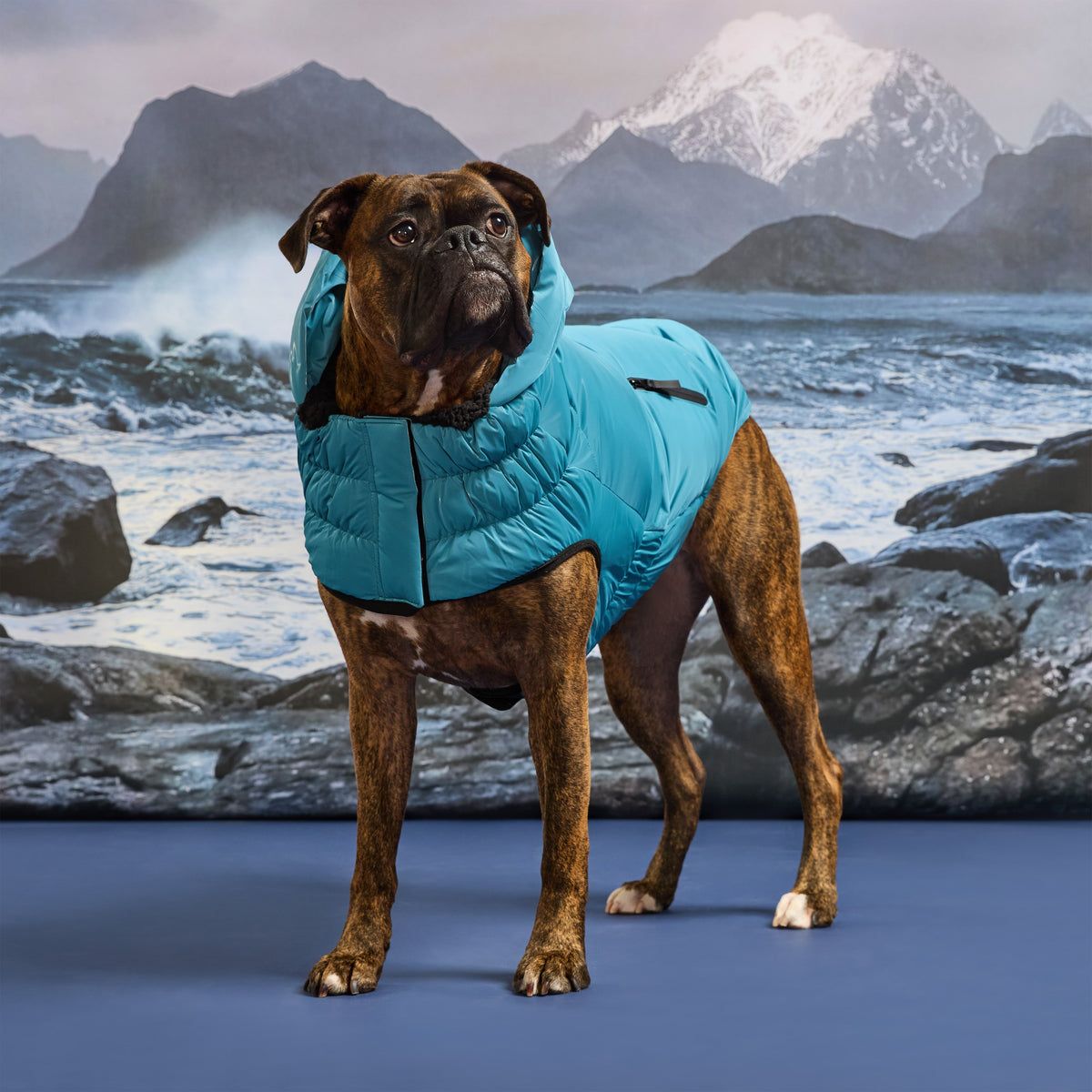 GF Pet Storm Glide Elasto Fit Dog Parka in Frozentide