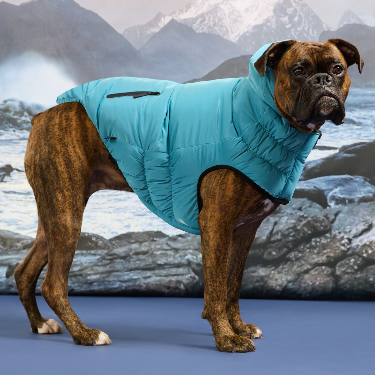 GF Pet Storm Glide Elasto Fit Dog Parka in Frozentide