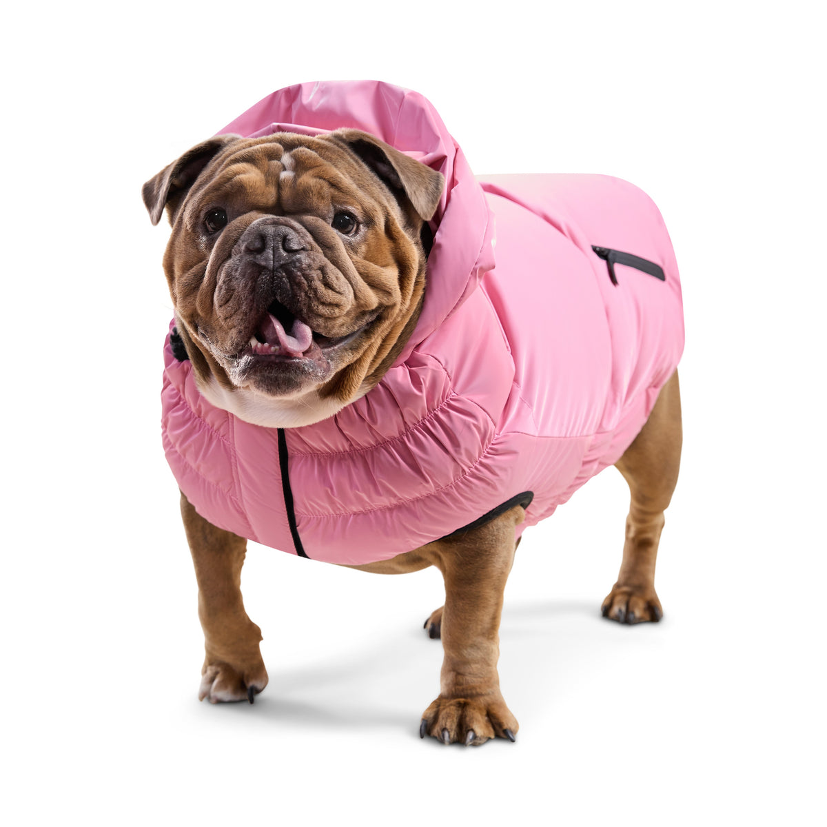 GF Pet Storm Glide Elasto Fit Dog Parka in Pinkhaze
