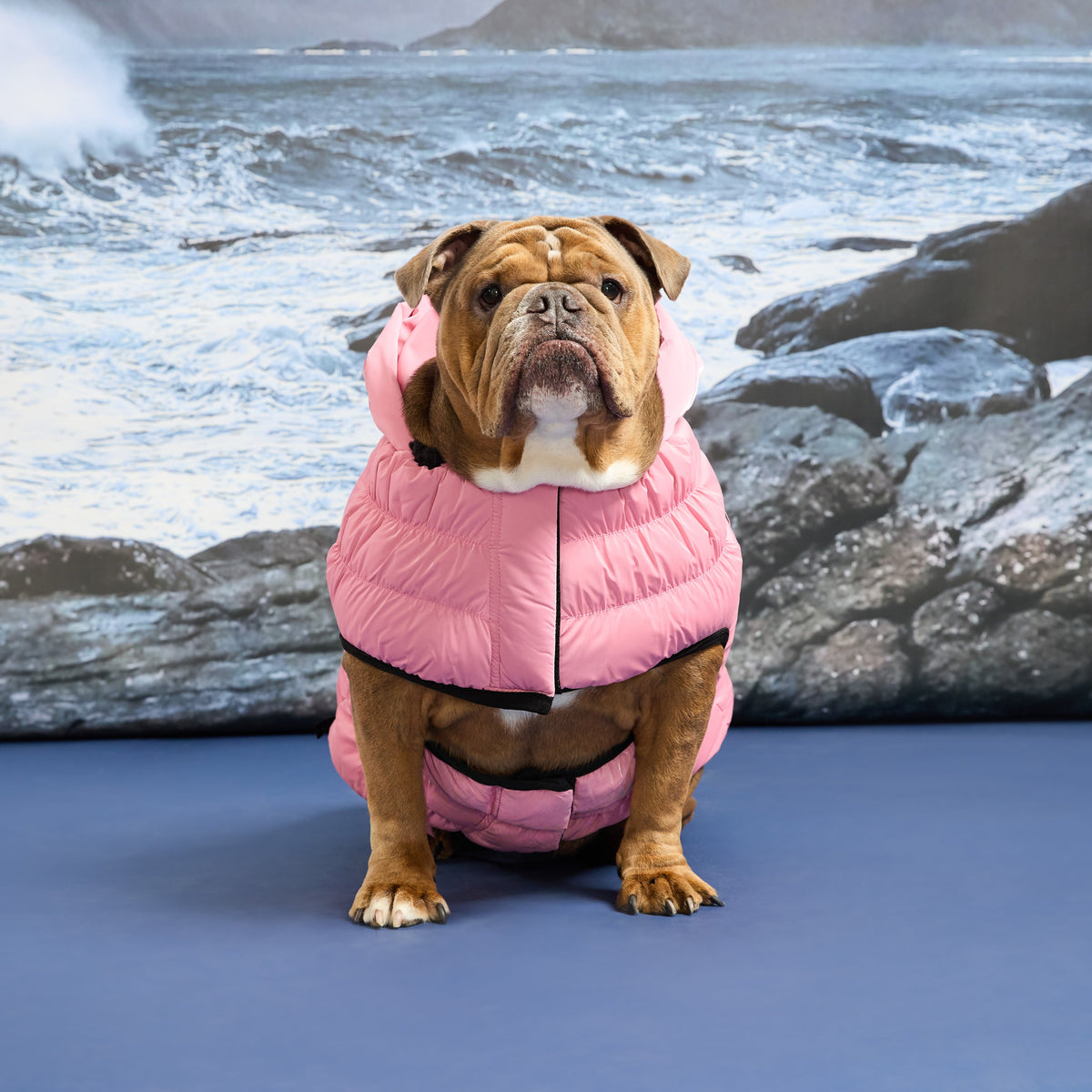 GF Pet Storm Glide Elasto Fit Dog Parka in Pinkhaze