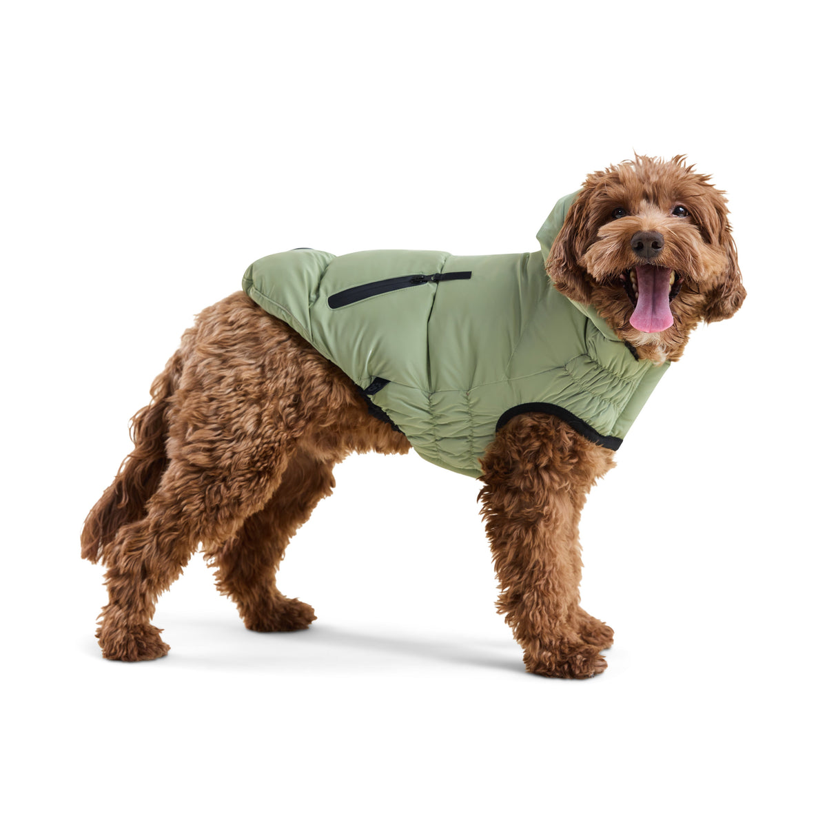 GF Pet Storm Glide Elasto Fit Dog Parka in Shadowmoss