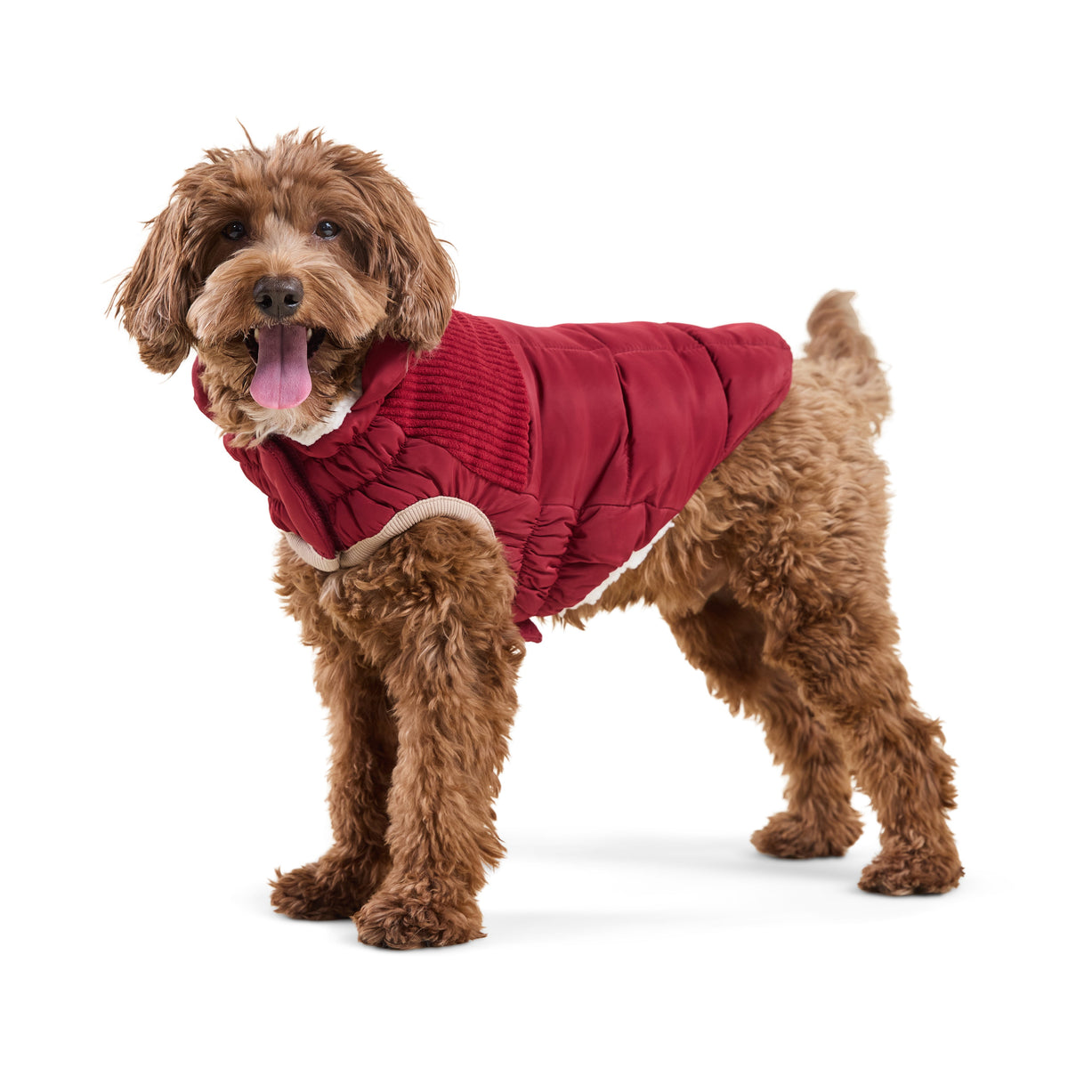 GF Pet Cold Mountain Elasto Fit Dog Puffer in Cherryfrost