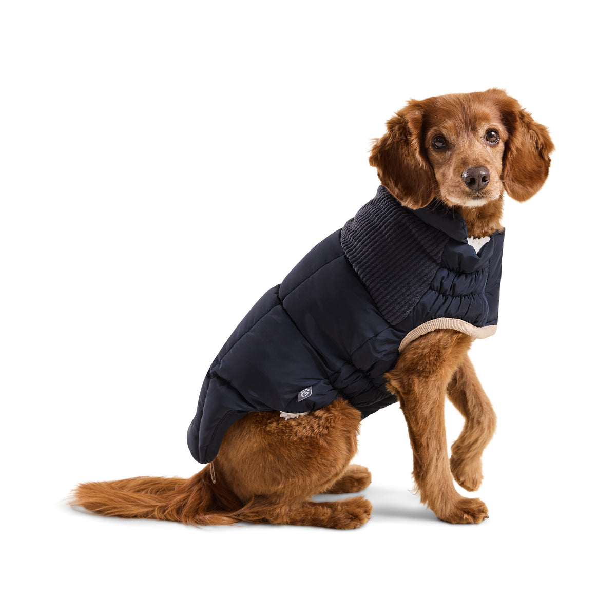 GF Pet Cold Mountain Elasto Fit Dog Puffer in Vintagenavy