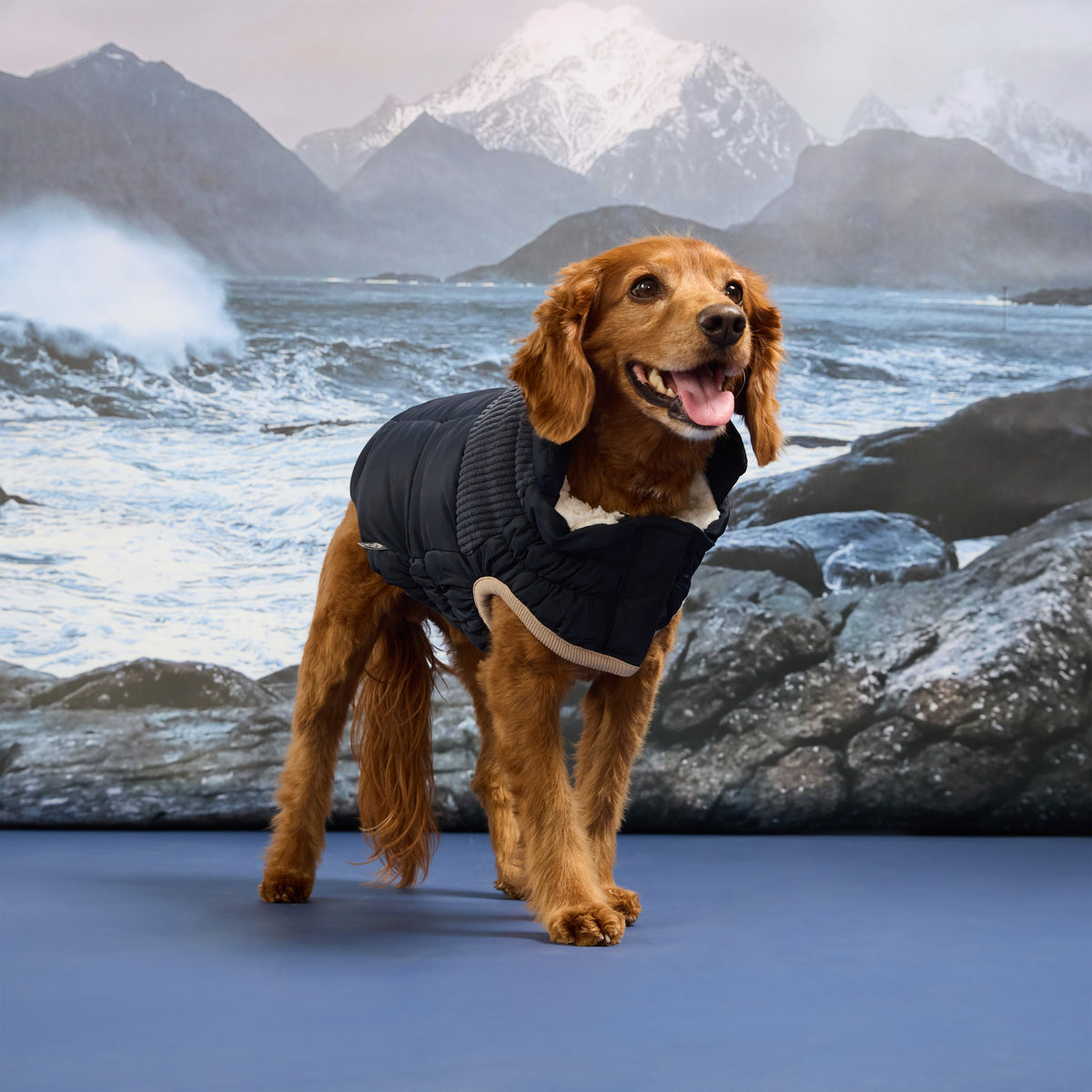 GF Pet Cold Mountain Elasto Fit Dog Puffer in Vintagenavy