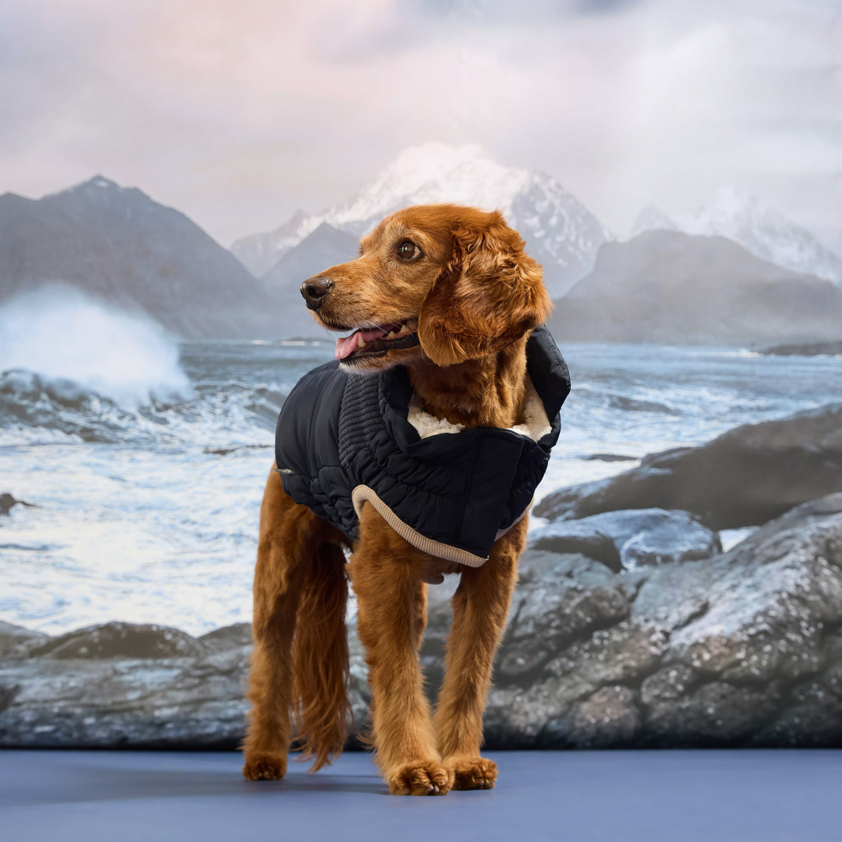 GF Pet Cold Mountain Elasto Fit Dog Puffer in Vintagenavy