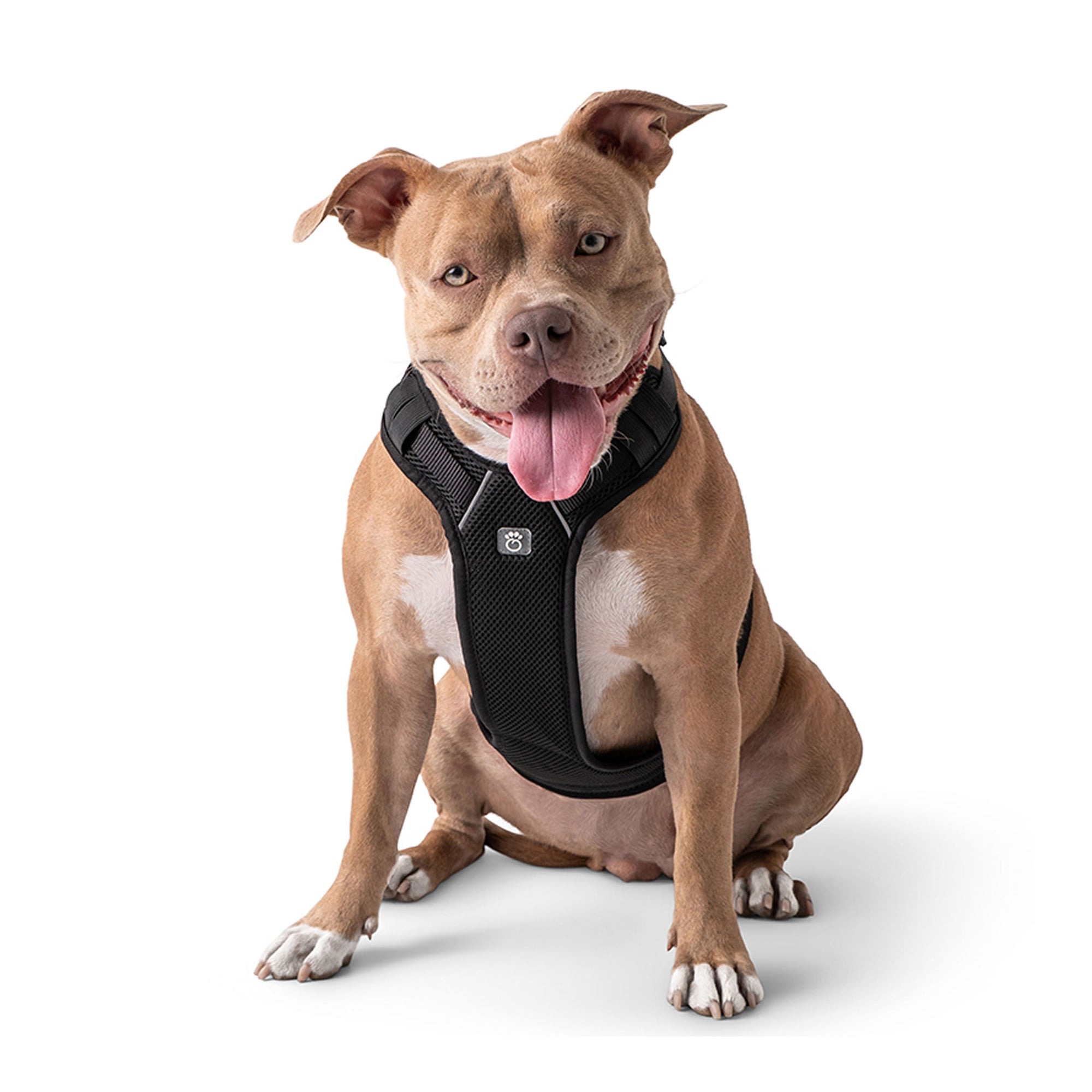 Travel Harness - Black premium pet product