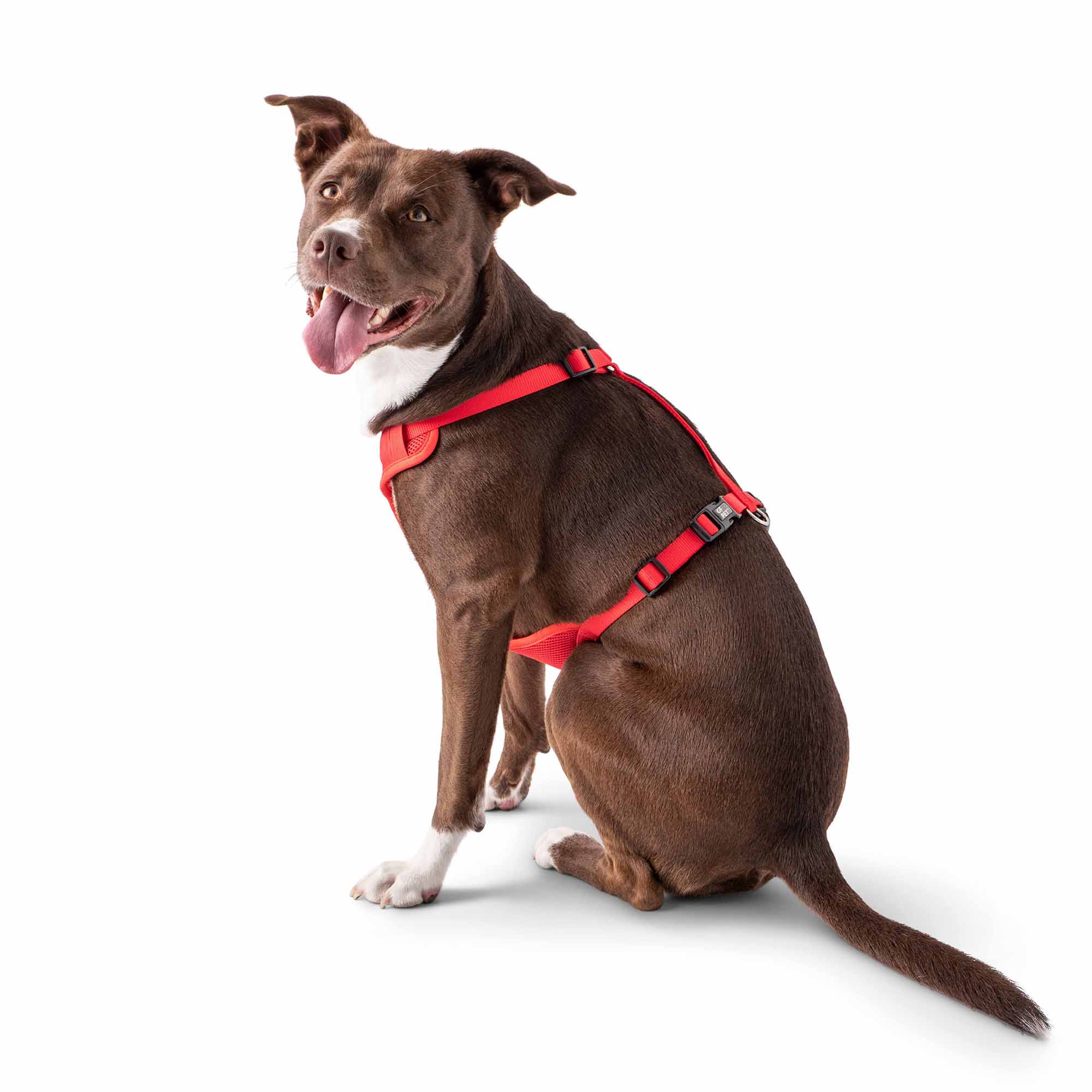 Travel Harness - Red premium pet product