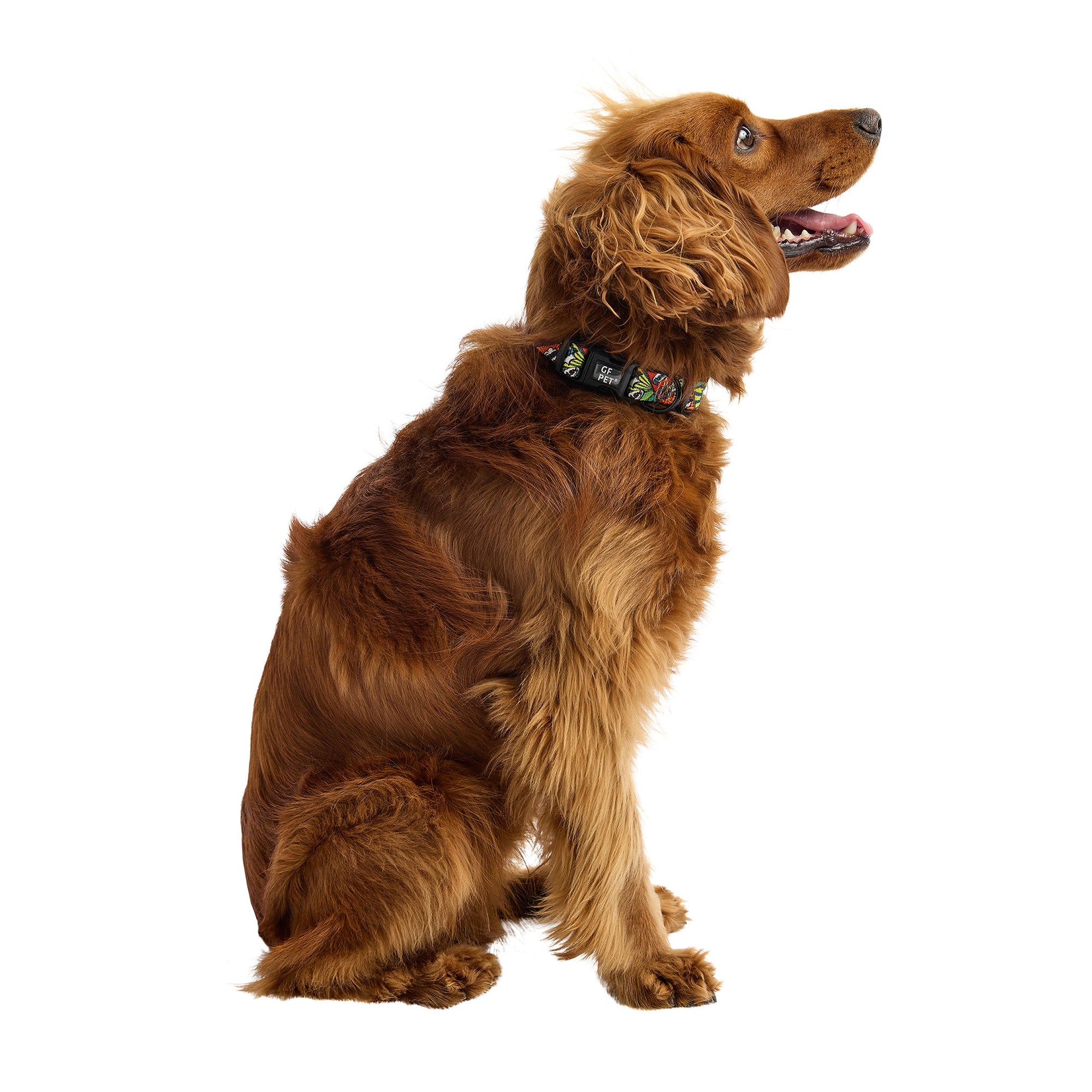 Printed Collar - Comic Book premium pet product