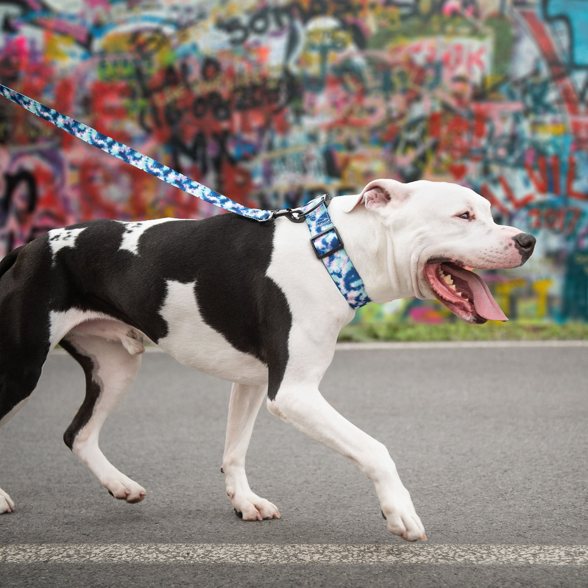 Printed Collar - Tie Dye premium pet product