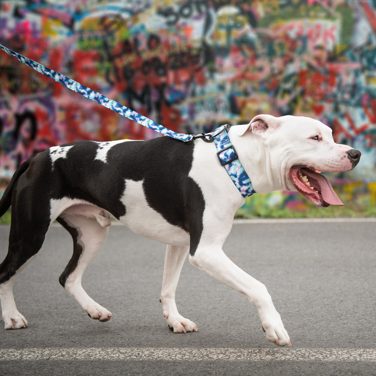 Printed Leash - Tie Dye premium pet product