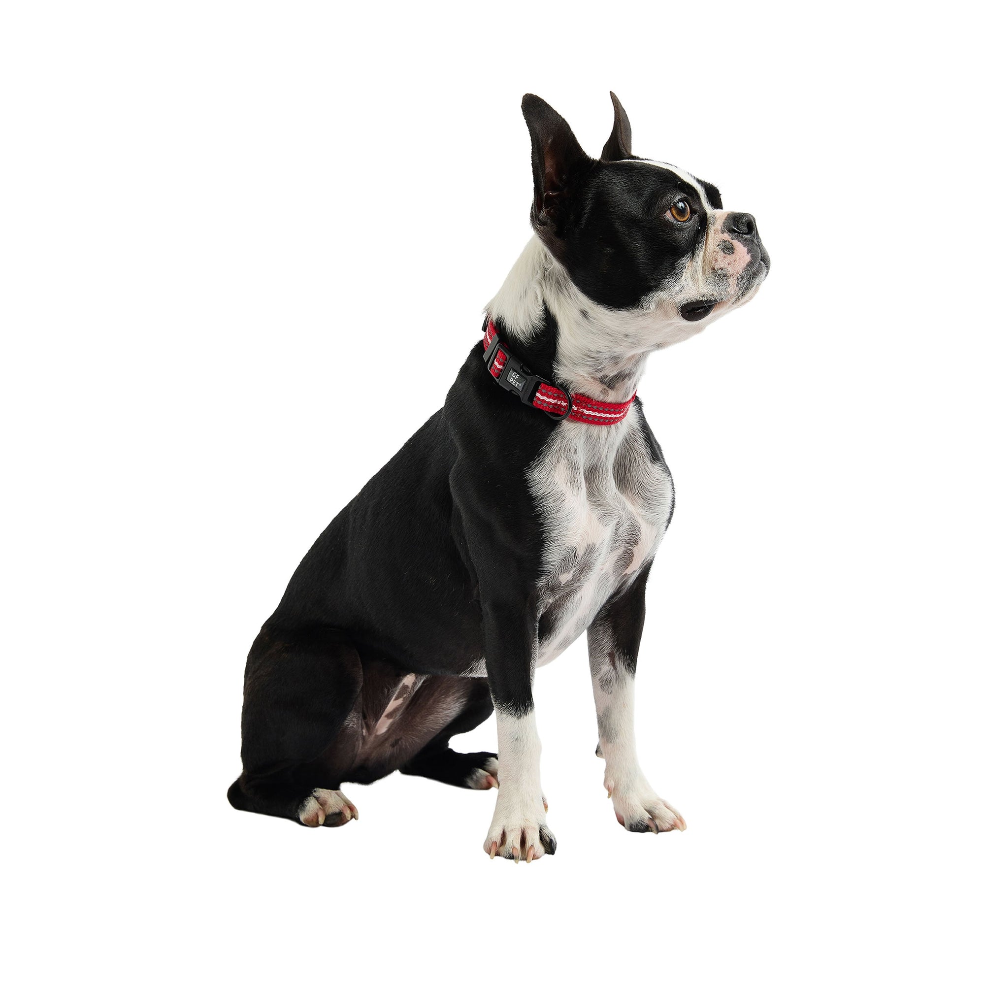 Reflective Collar - Red premium pet product