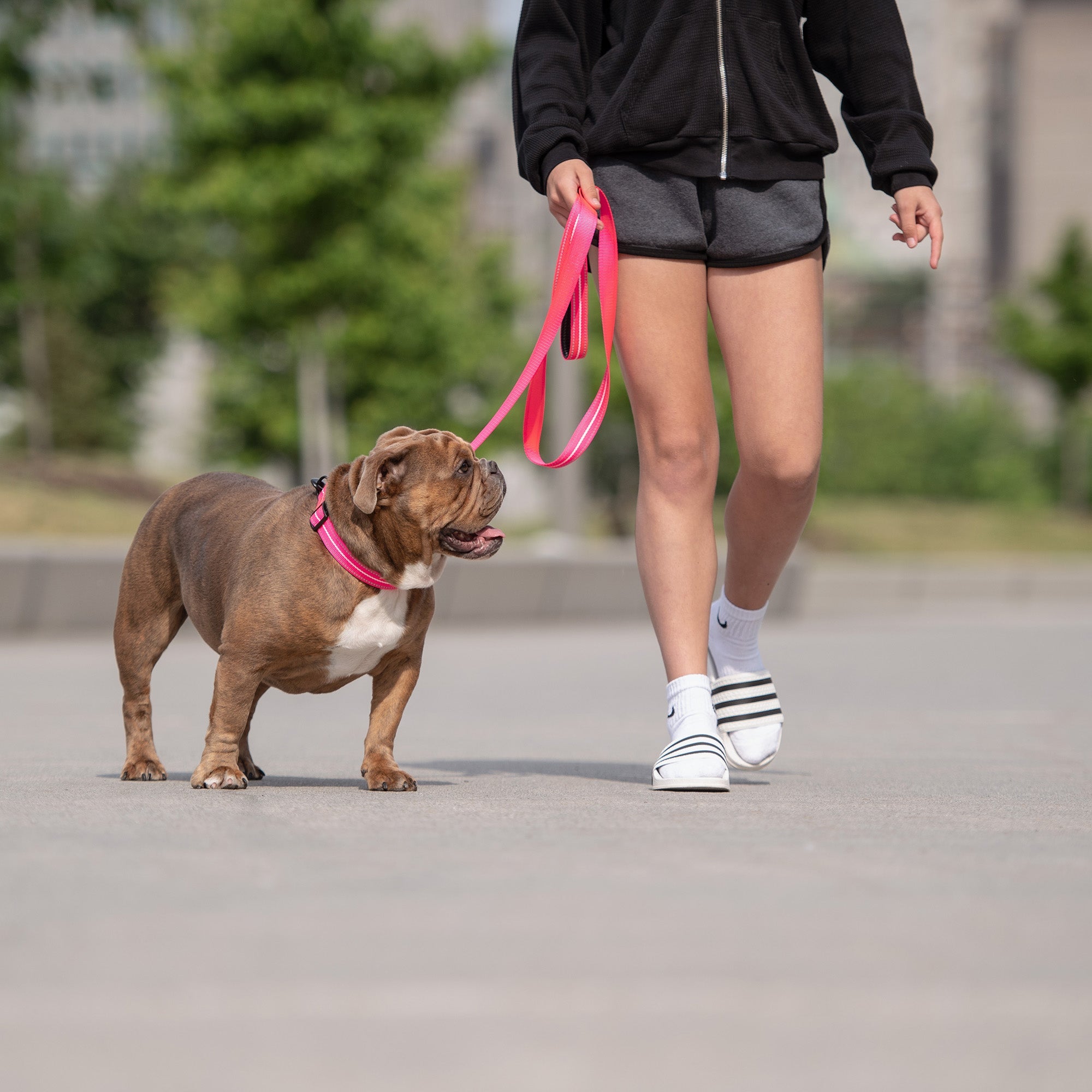 Reflective Collar - Neon Pink premium pet product