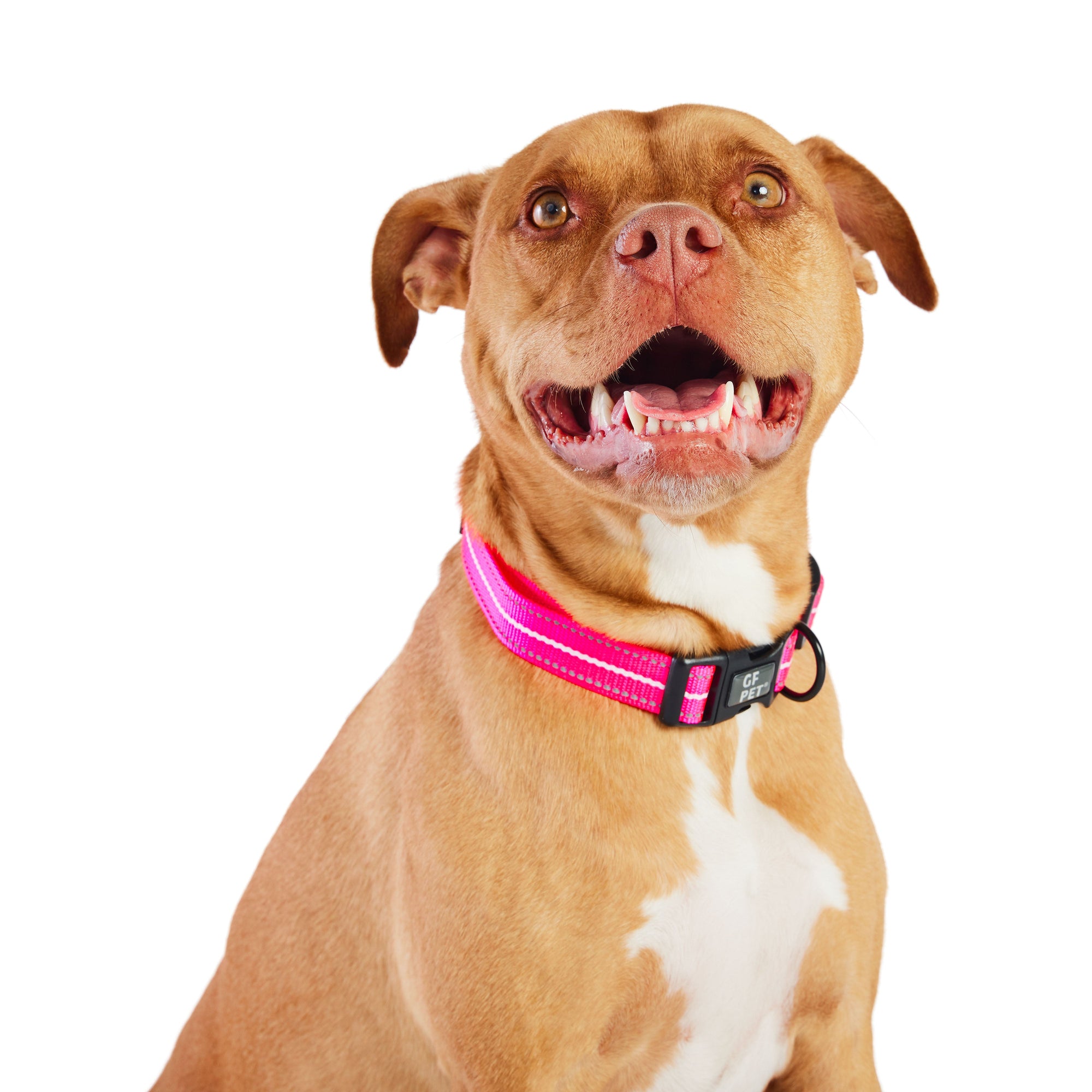Reflective Collar - Neon Pink premium pet product