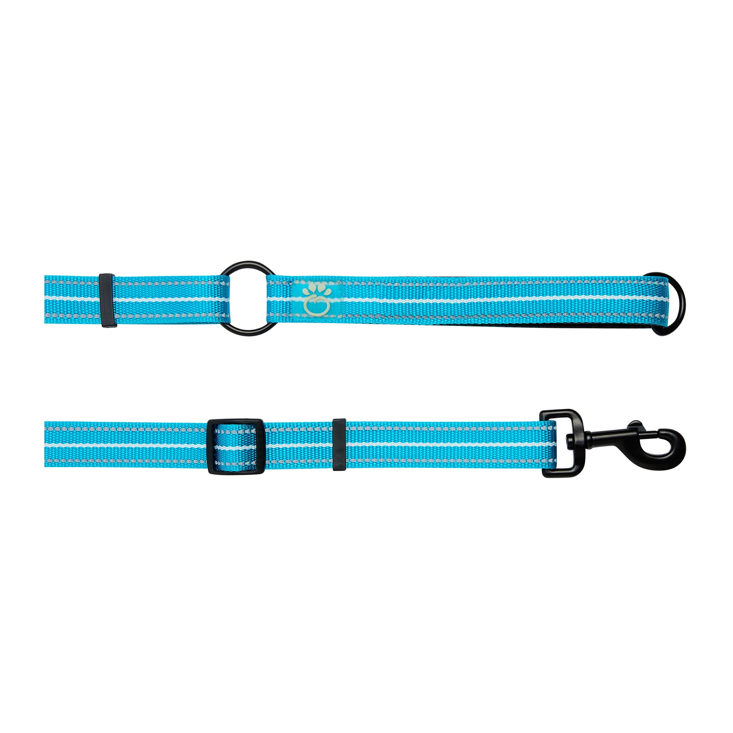 Reflective Leash - EEZY-6 - Neon Blue premium pet product