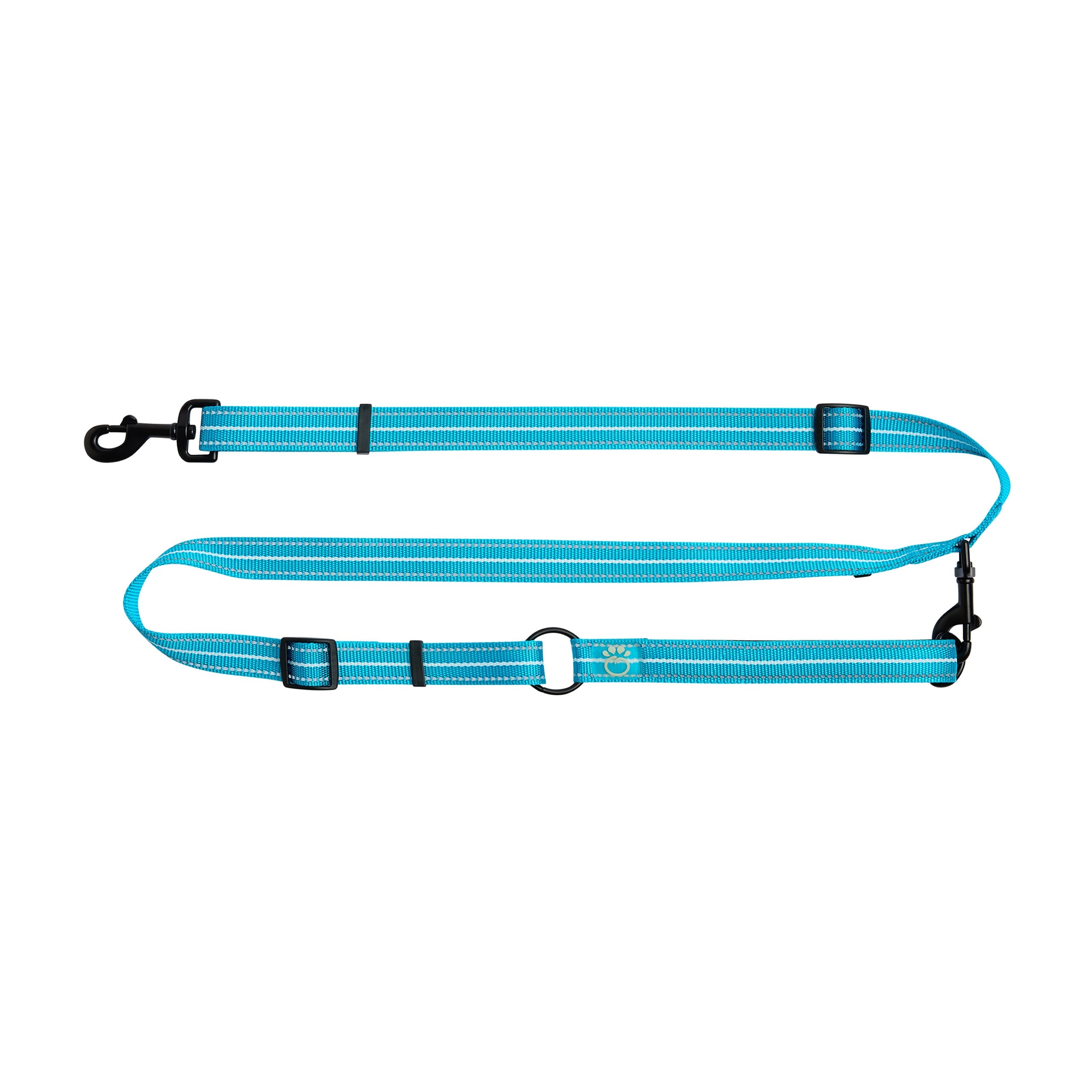 Reflective Leash - EEZY-6 - Neon Blue premium pet product