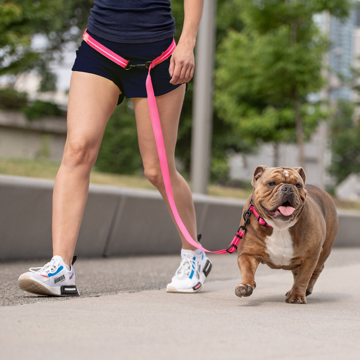 Reflective Leash - EEZY-6 - Neon Pink premium pet product