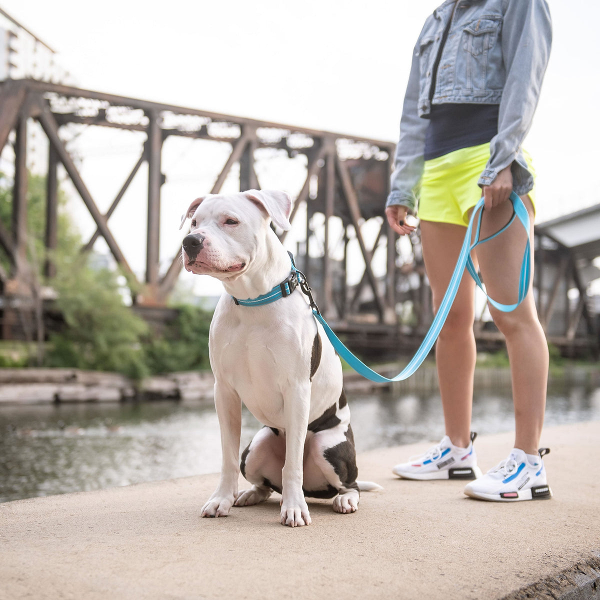 Reflective Leash - Neon Blue premium pet product