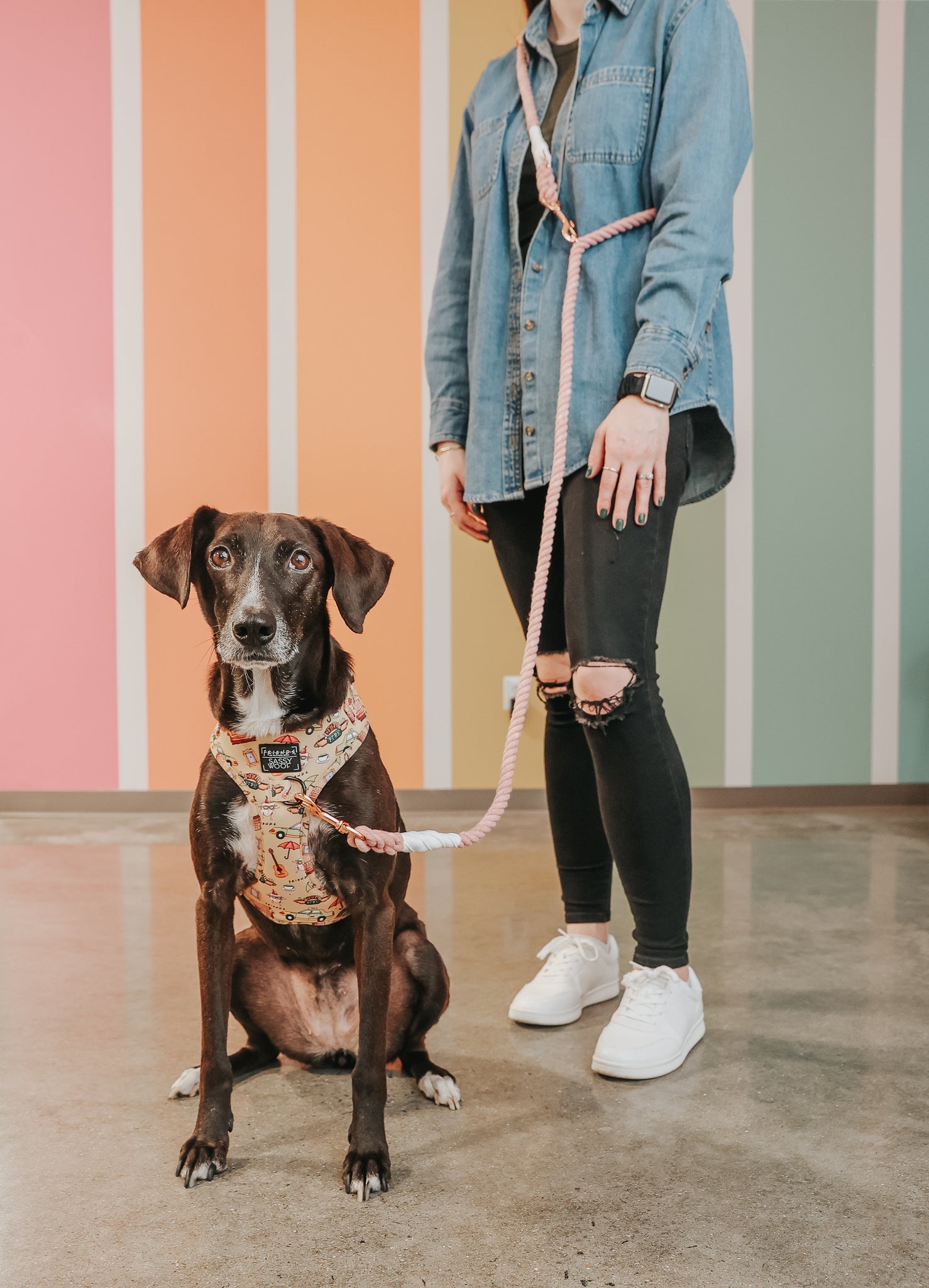 Hands Free Rope Leash - Rose All Day