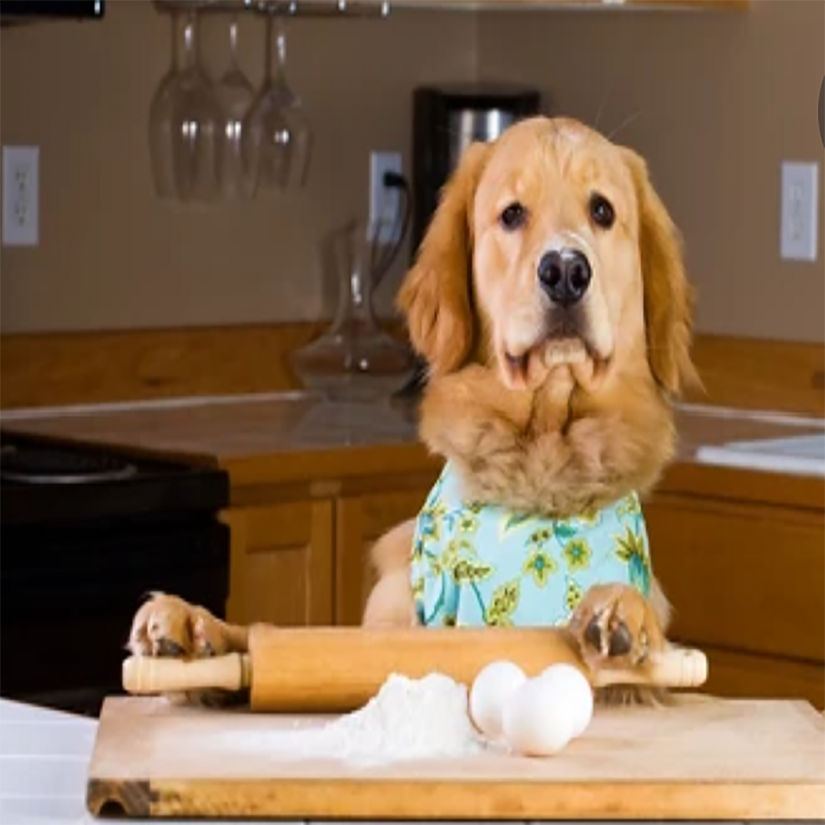 PAWsitively Organic Peanut Butter Macaron Dog Treats