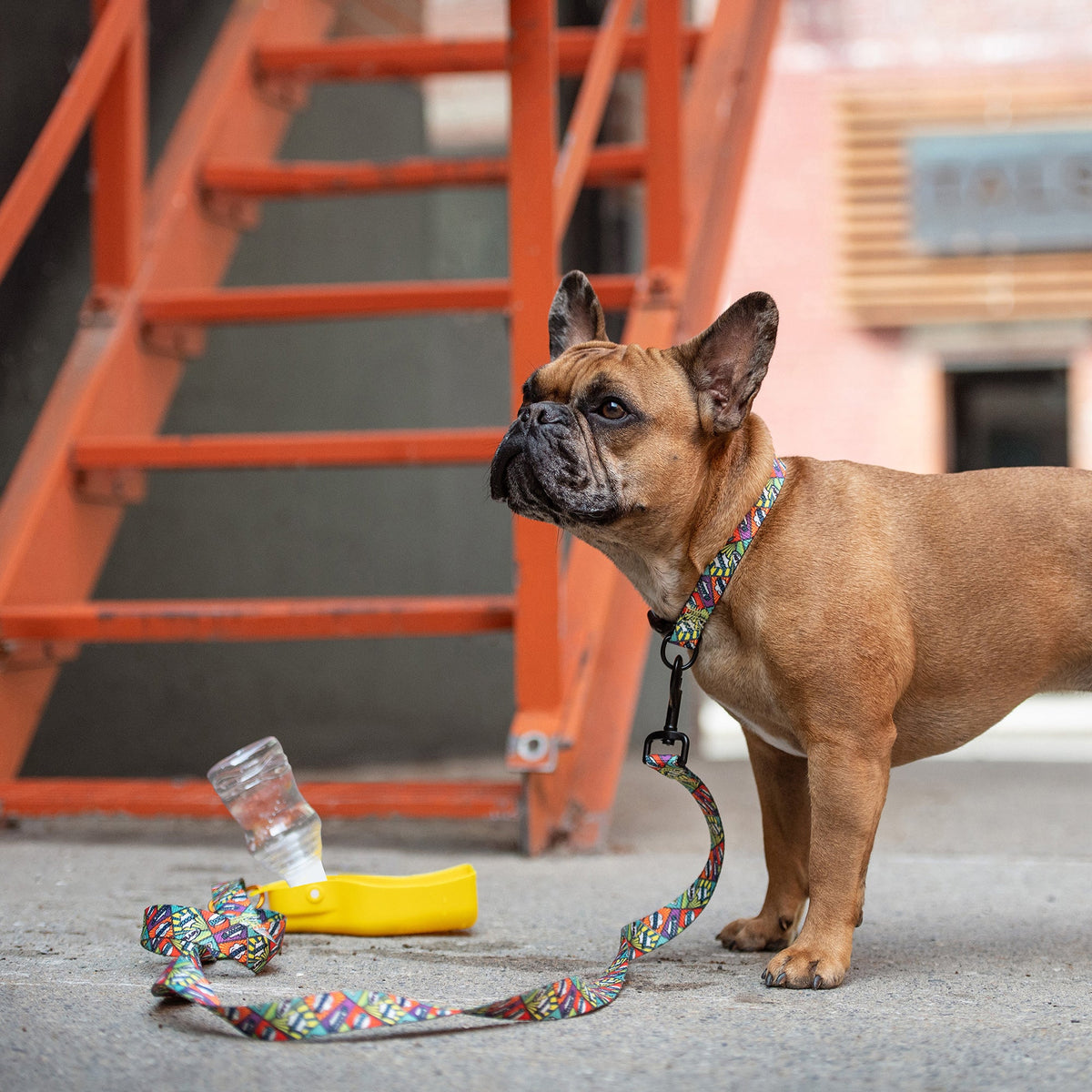 GF Pet Portable Dog Water Bottle with Bowl