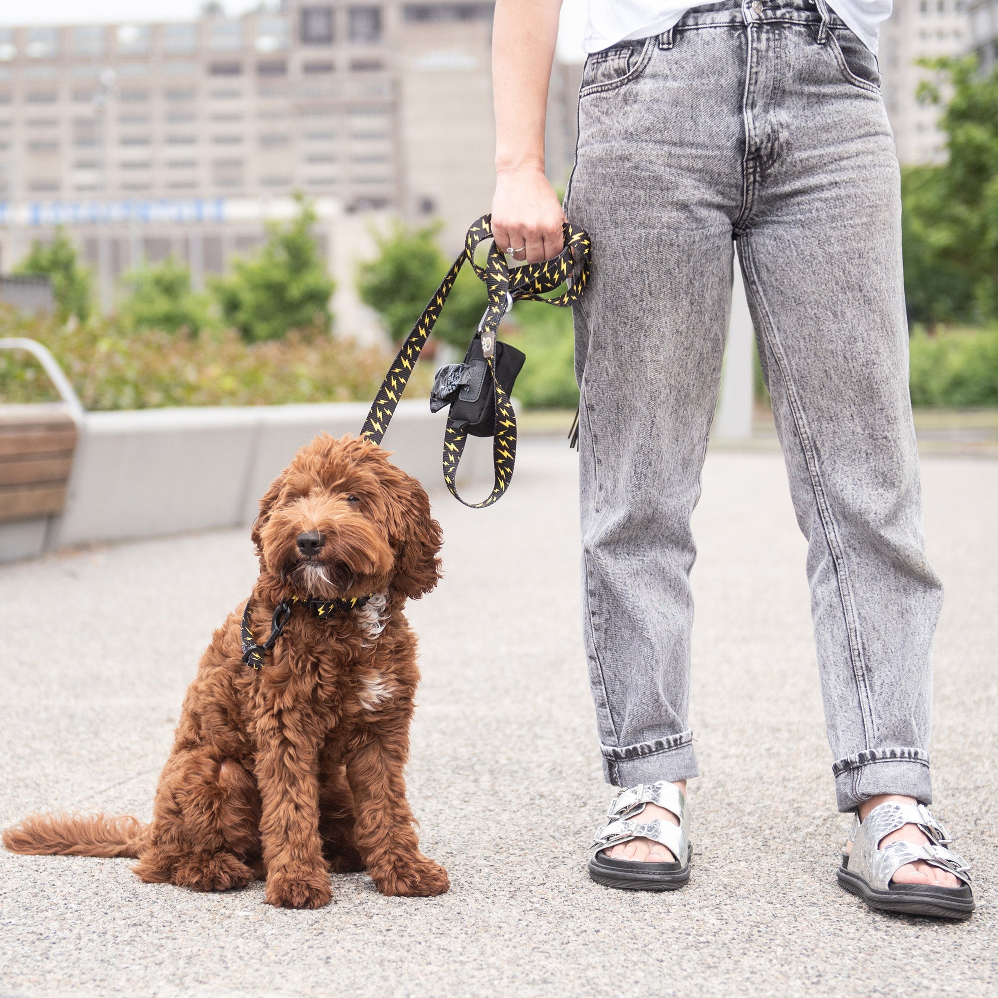 Poop Bag Dispenser - Black premium pet product