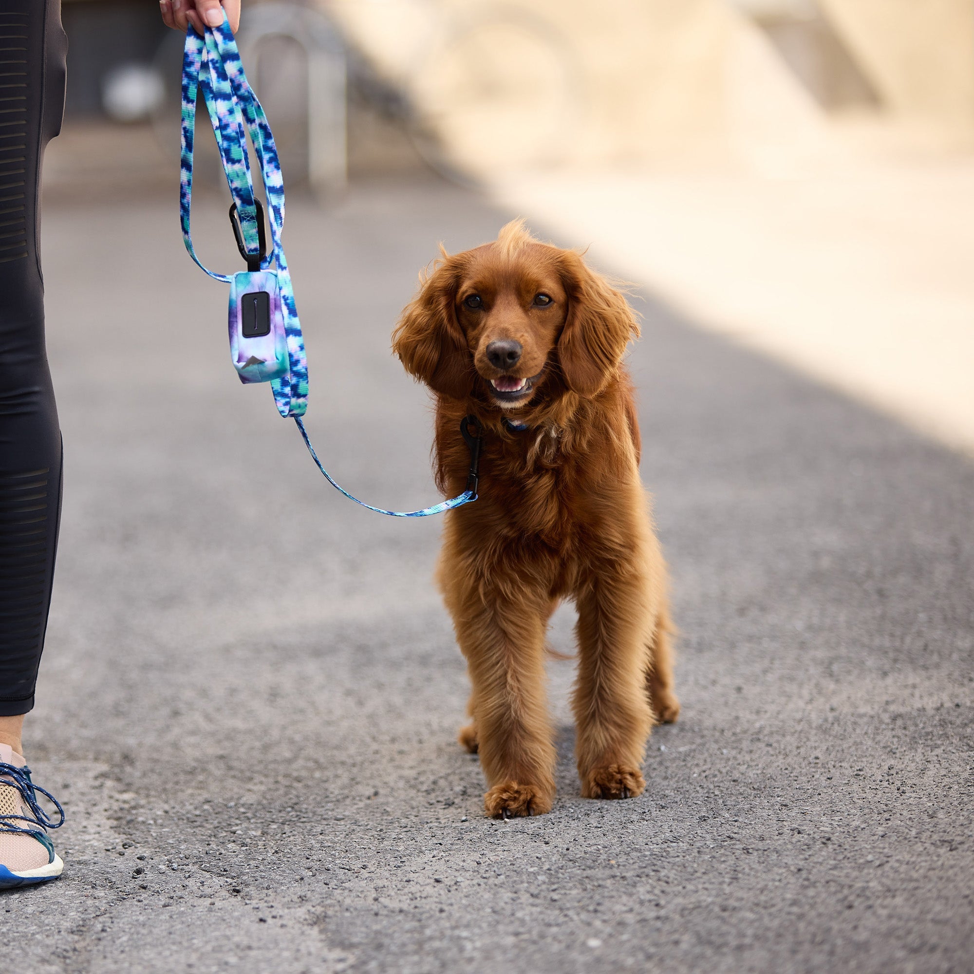 Poop Bag Dispenser - Tie Die premium pet product