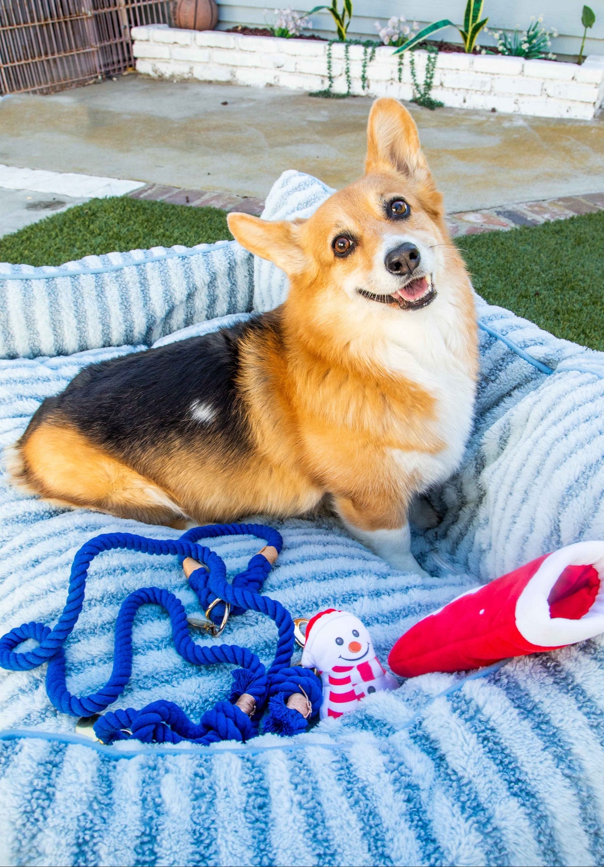 Glow Pups: Blue Boho Chic Cotton Rope Dog Leash