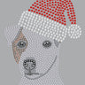 Jack Russell Terrier with Santa Hat - Women's T-shirt