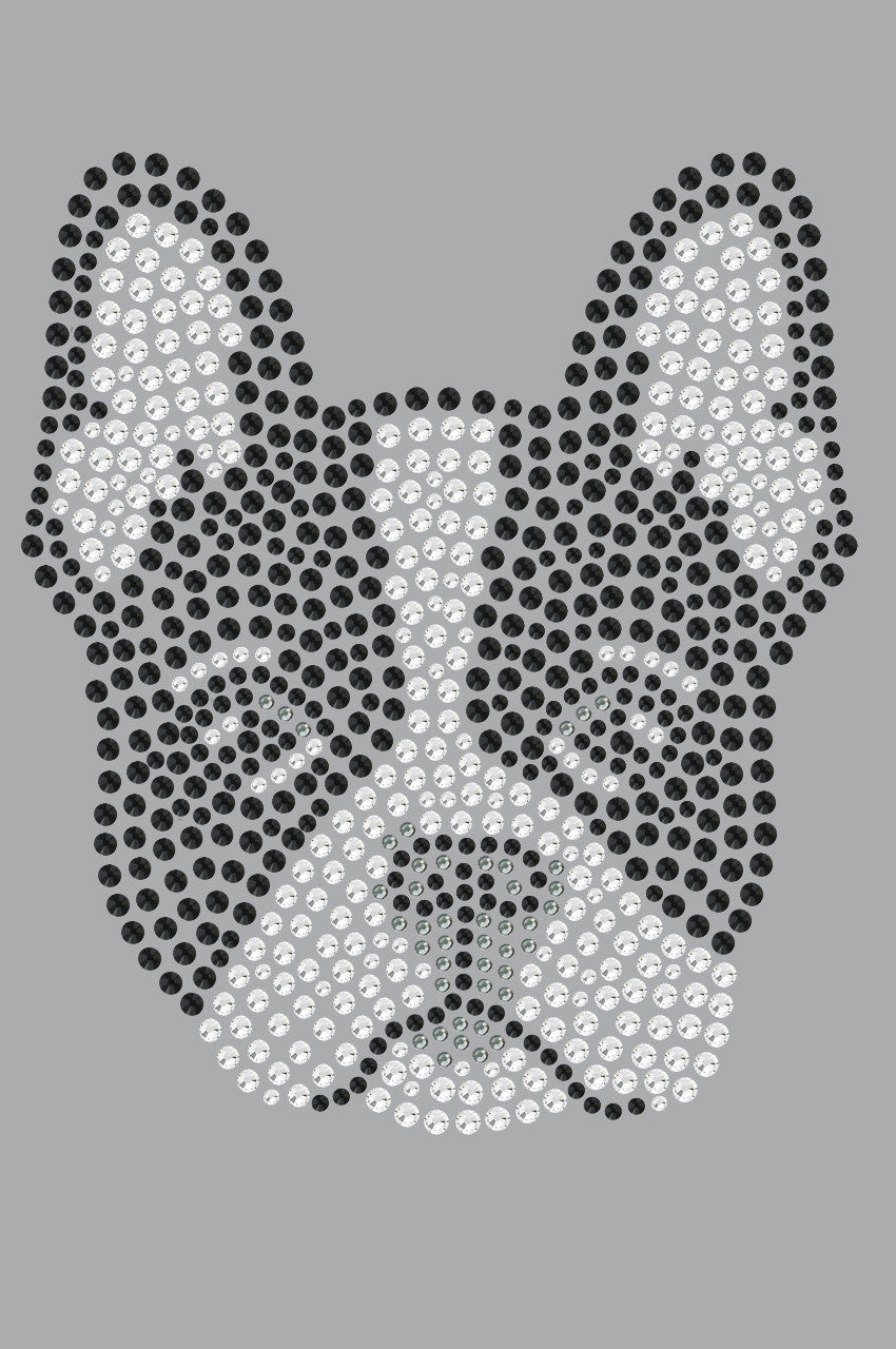 Boston Terrier - bandana