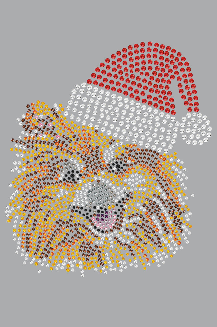 Pomeranian with Santa Hat - Womens T-shirt