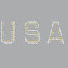 USA (Gold & Silver Nailheads) - Women's T-shirt
