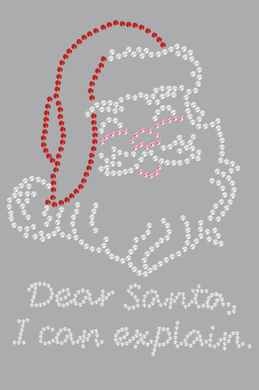 Santa Face - I Can Explain - Women's T-shirt