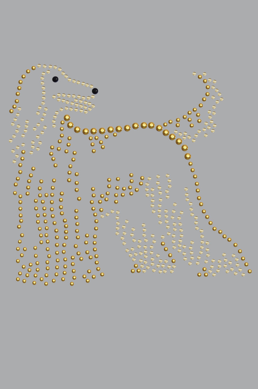 Afghan Hound - bandana