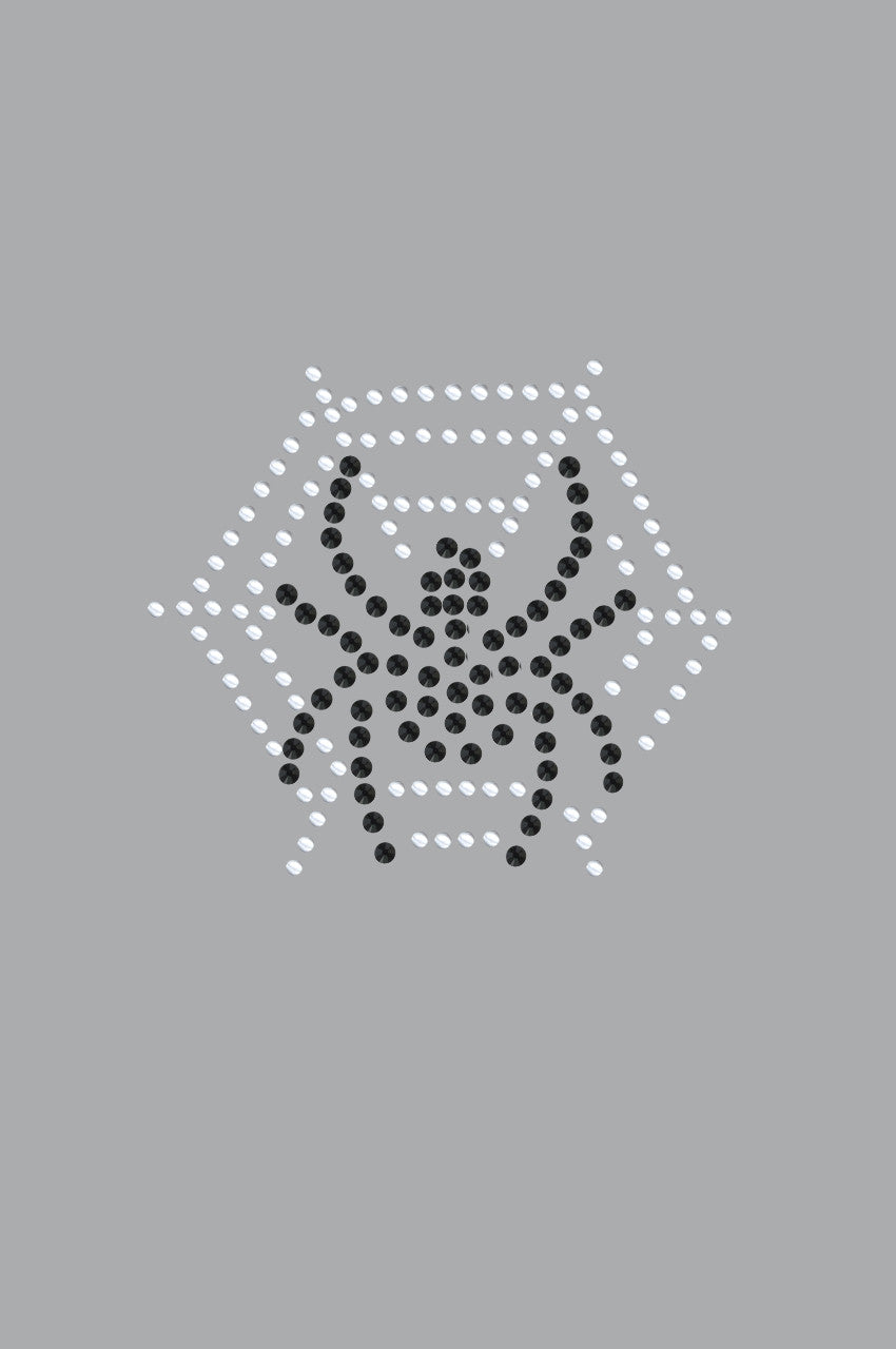 Spider Web & Spider - Womens T-shirt