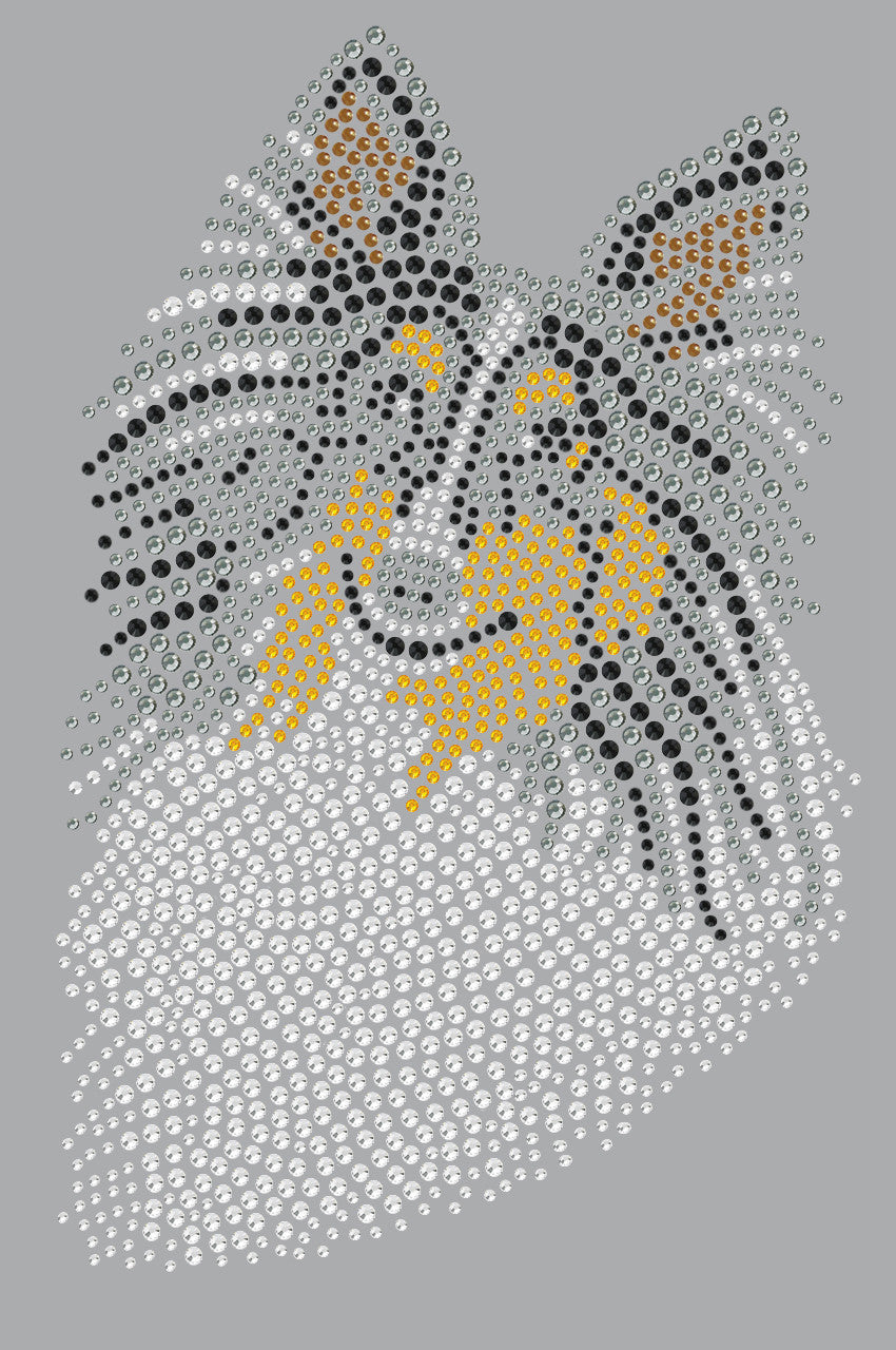 Sheltie Face (Tri Color) - bandana