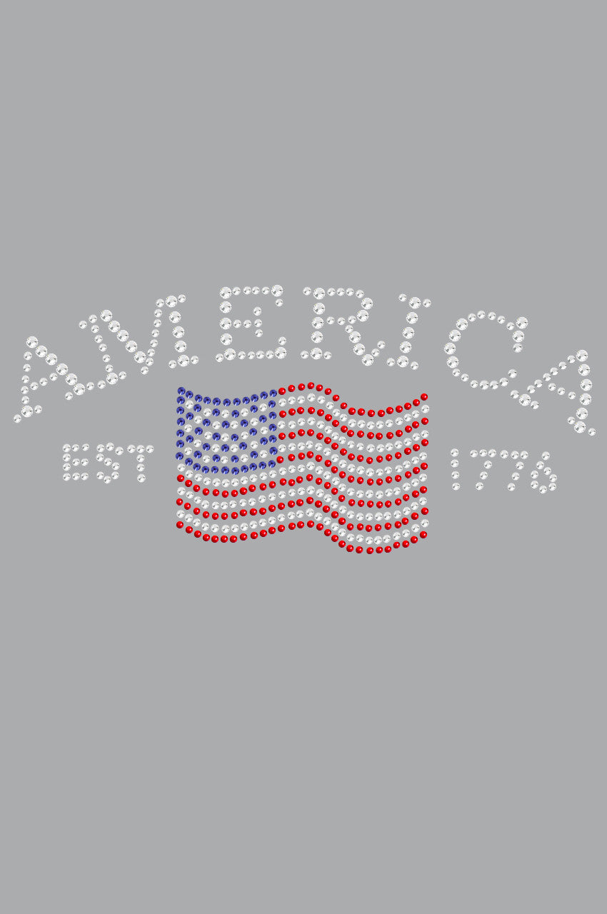 America - Womens T-shirt